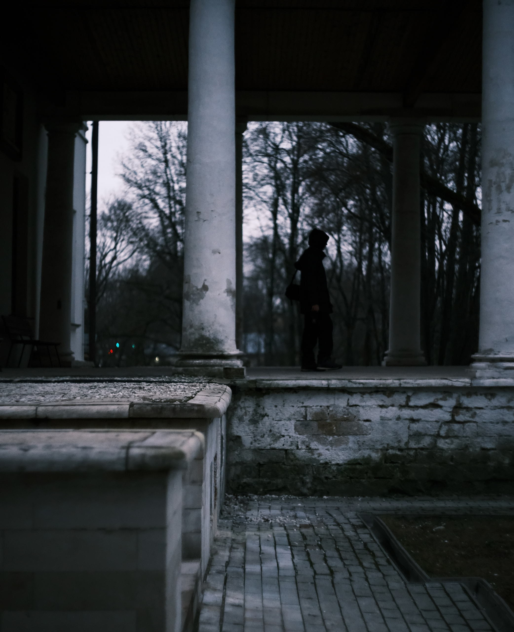 Усадьба Остафьево. Paintings by the artist Sergey Ratchin