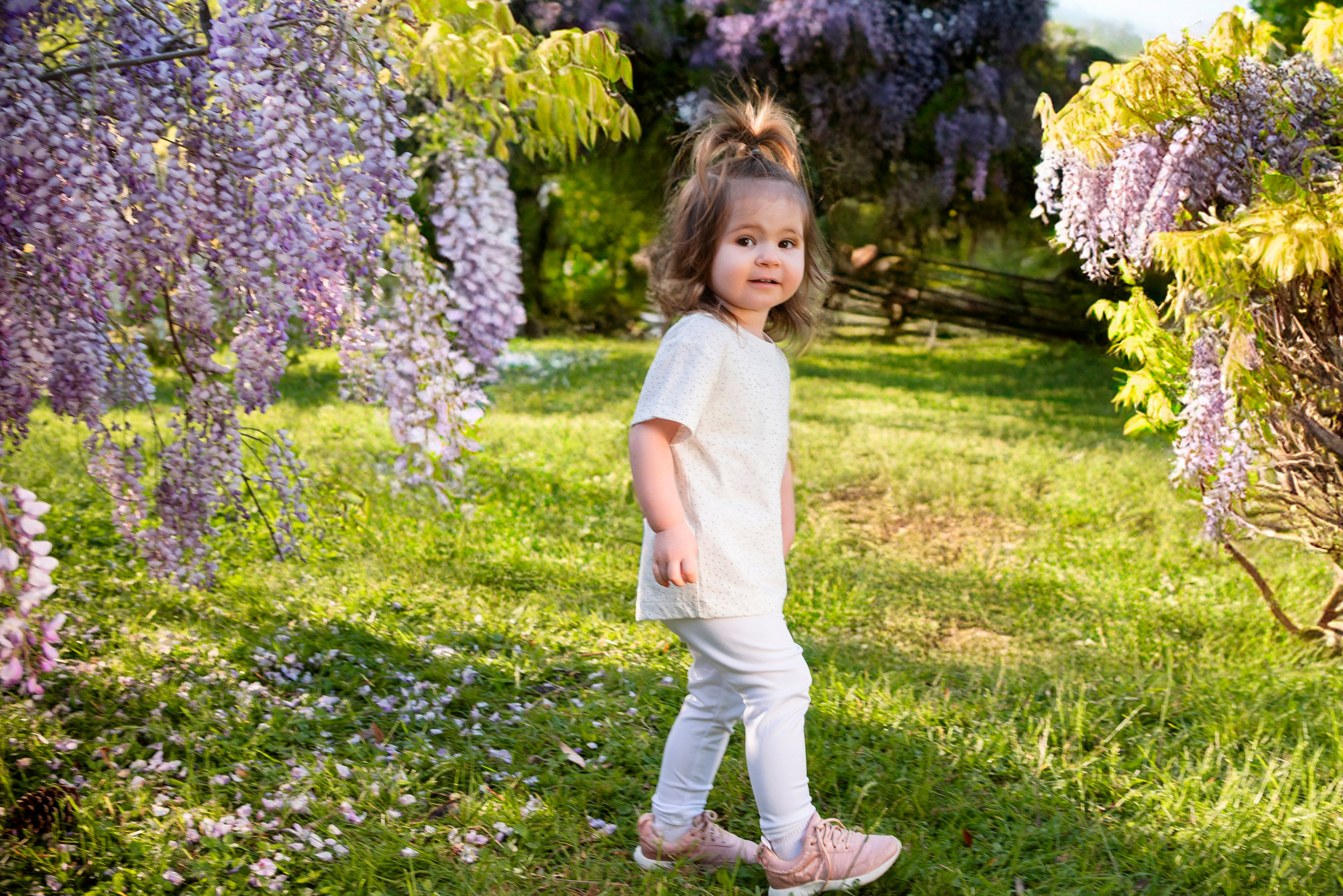 девочки,глициния, фотошоп, искусственный интелект, Дендрарий, Сочи, локация