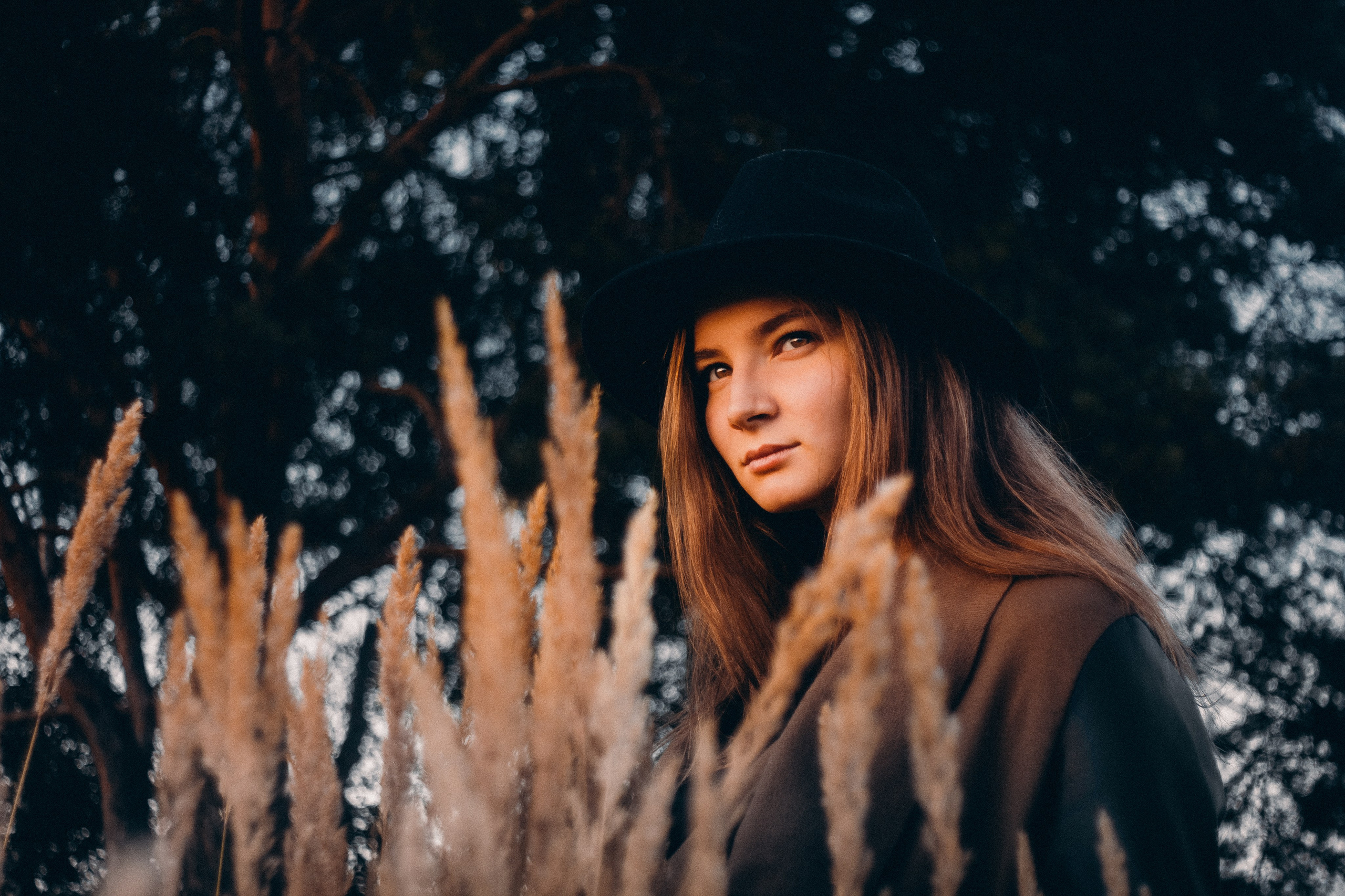 Фотография. Фотограф и видеограф DOSERZH (Добрин Сергей) в городе Москва и МО