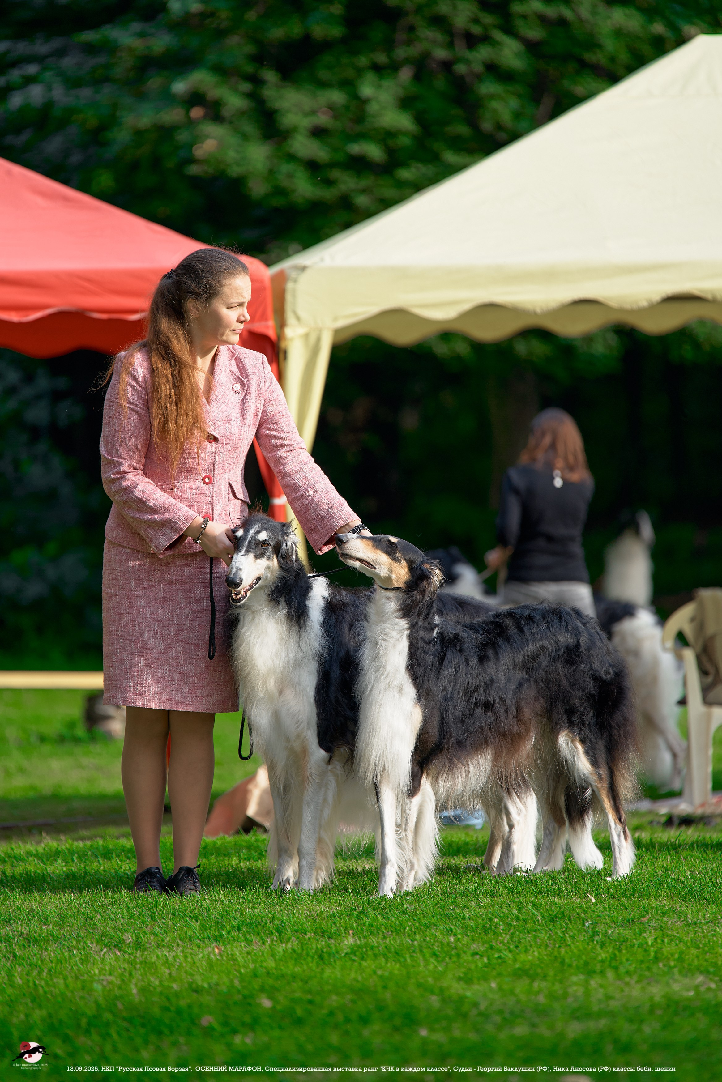 ОСЕННИЙ МАРАФОН | Специализированная выставка породы Русская Псовая Борзая ранг "КЧК в каждом классе"