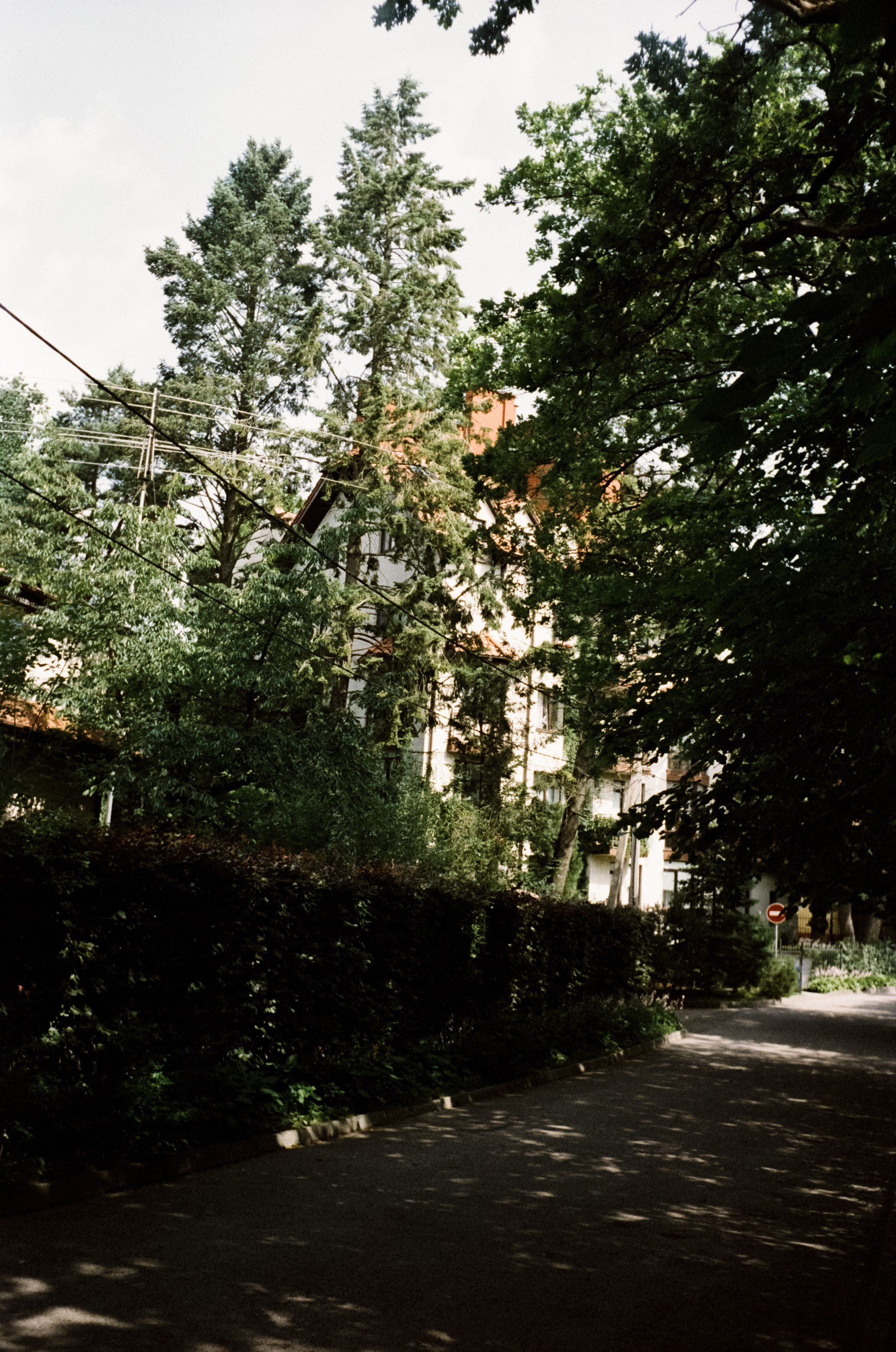 29 и 30 июня / Светлогорск и Янтарный / Minox 35 GT (2)