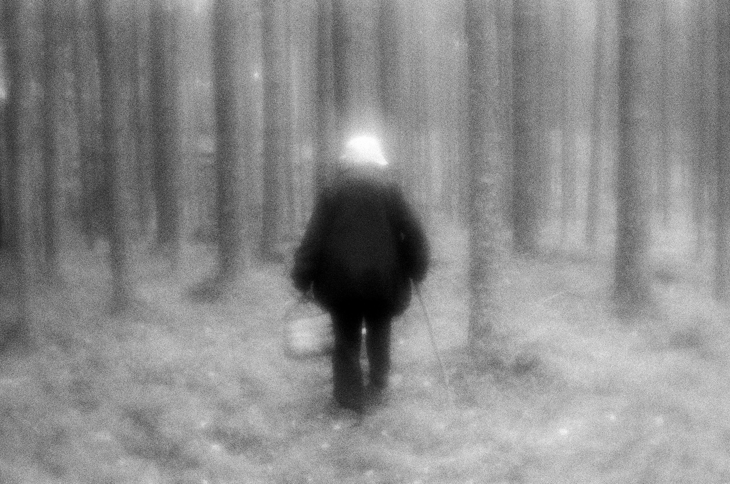 Валерия, 93 года, собирает грибы в лесу. Так как один глаз ее не видит вовсе, а другой видит очень плохо, она берет только самые большие и заметные шляпки, не смотря на то, что они заведомо червивые.