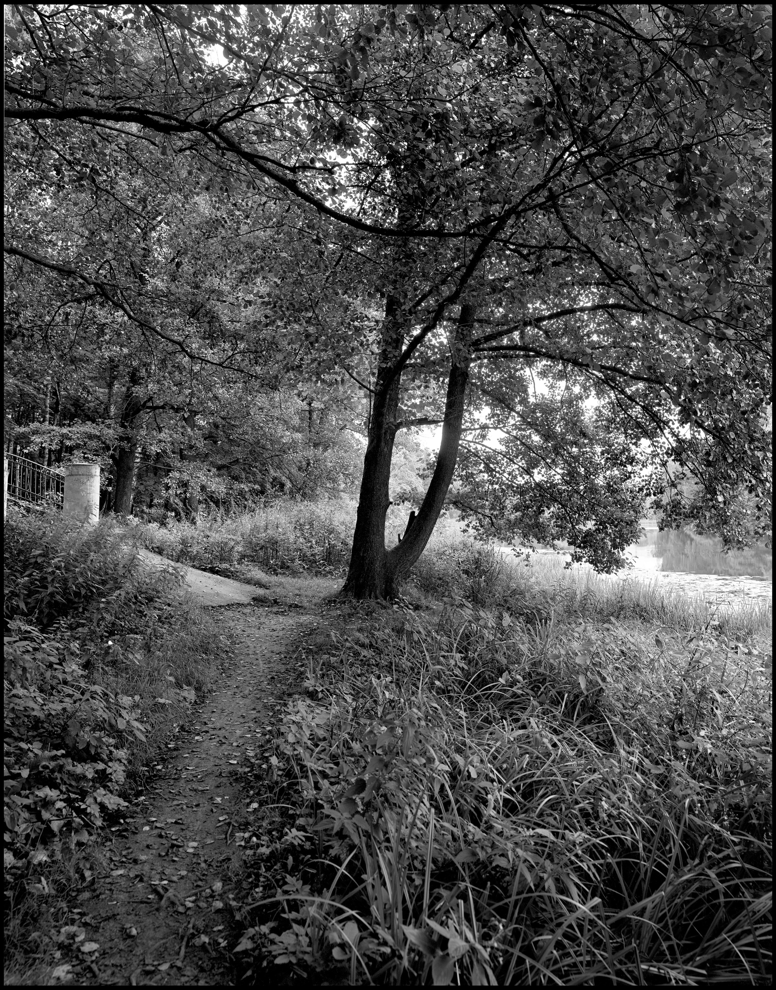 Landscape. Sergey Kondriuk art-photographer | artist