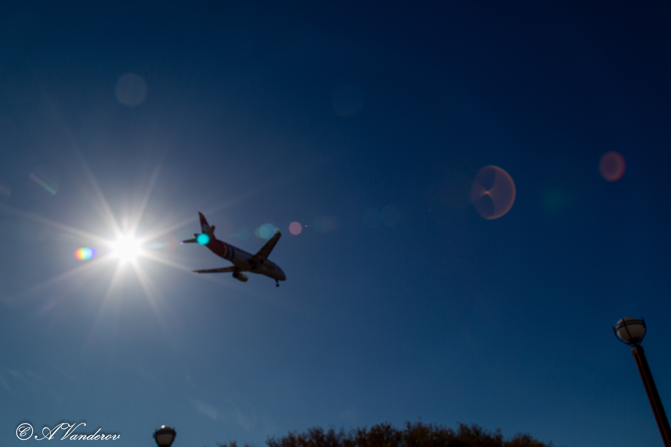 День ходьбы 2024. Фотограф Омск | Александр Вандеров