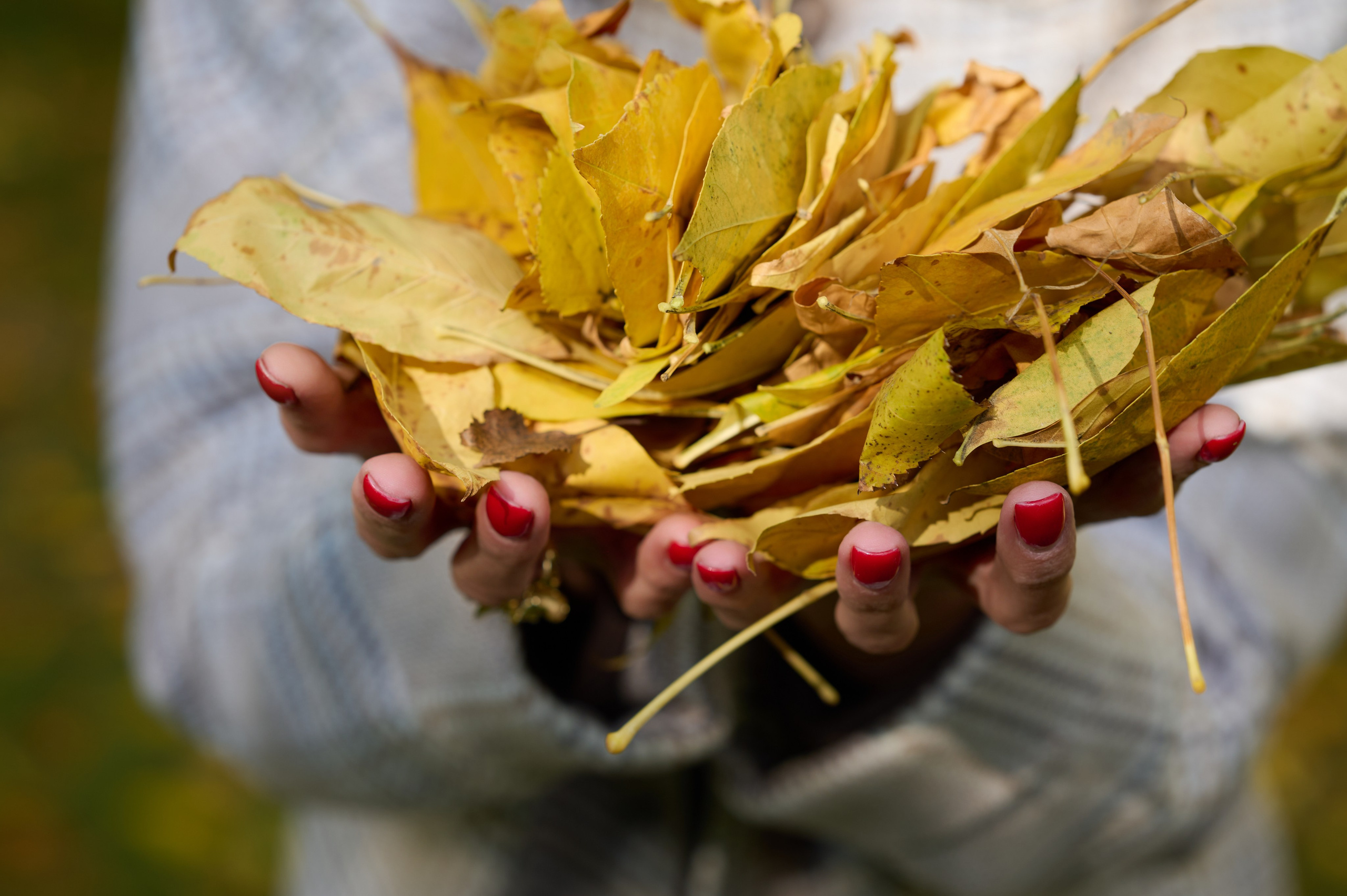 Фотосессия с Татьяной в осеннем парке. Портретный фотограф в Краснодаре Евгений Карпов