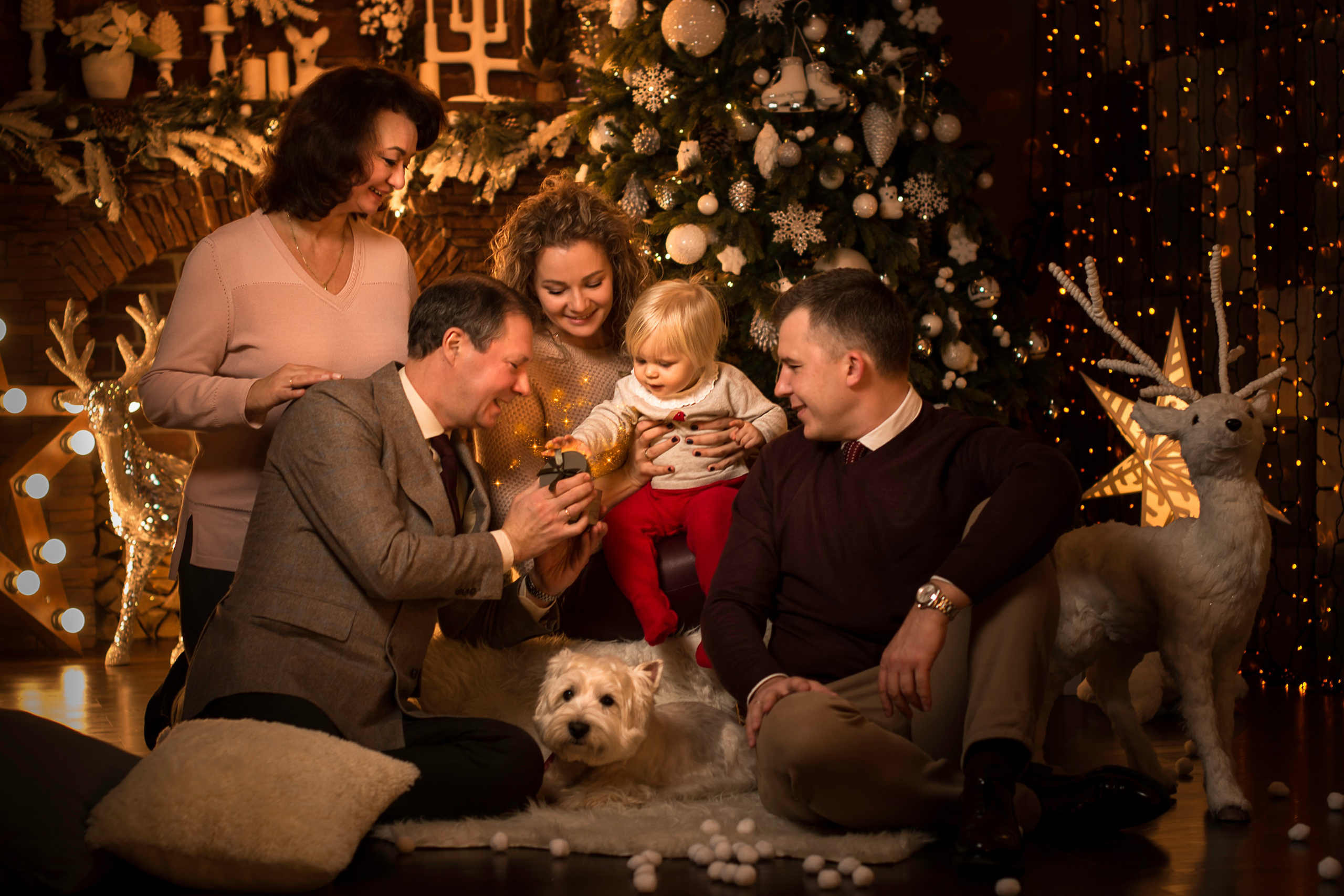 🎄 Новогодняя семейная фотосессия в студии. Фотосессия беременности — Крылова Натали — Москва