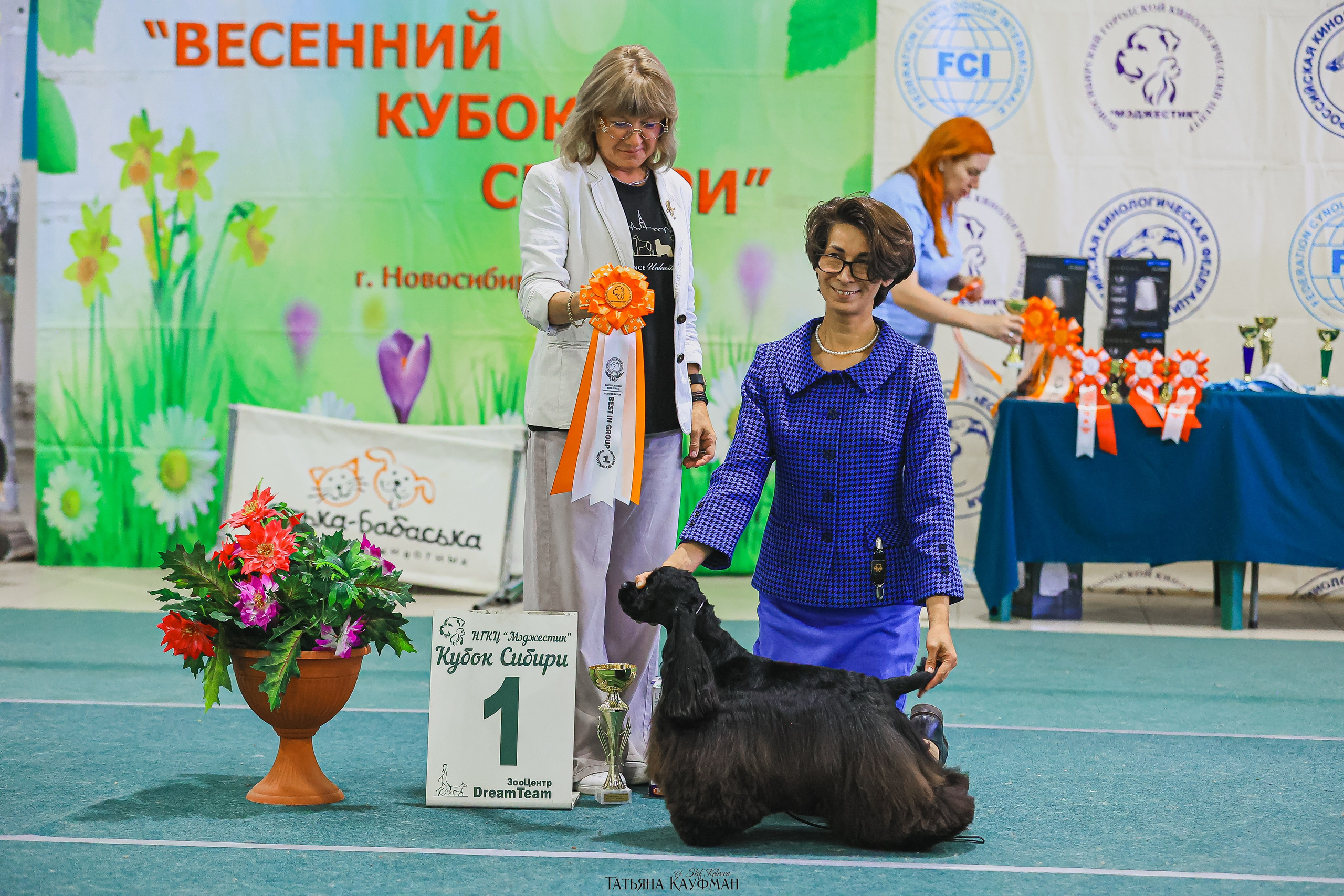 13.07.25 2х выставки собак. Новосибирск. «Кубок Сибири»