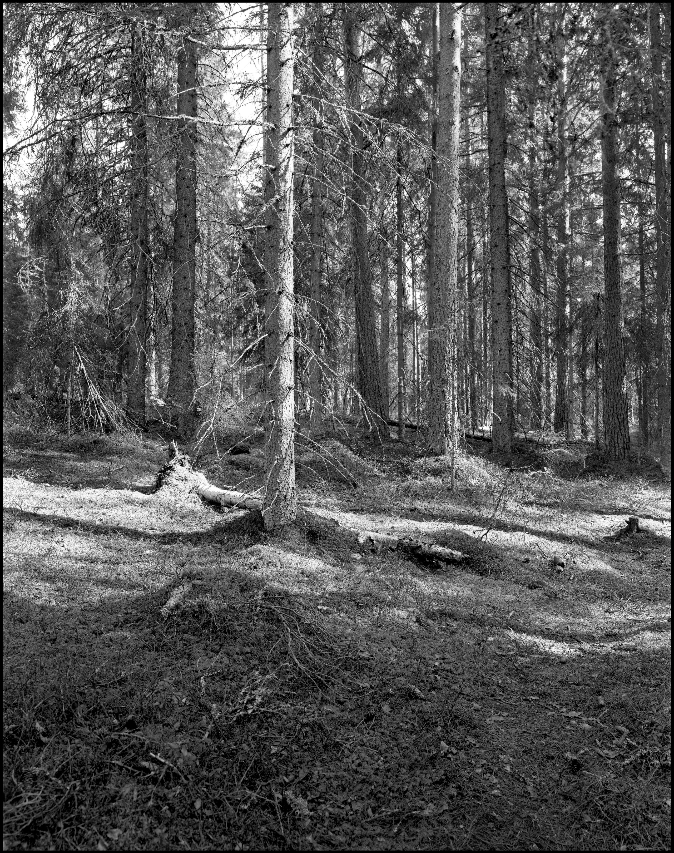 Landscape. Sergey Kondriuk art-photographer | artist