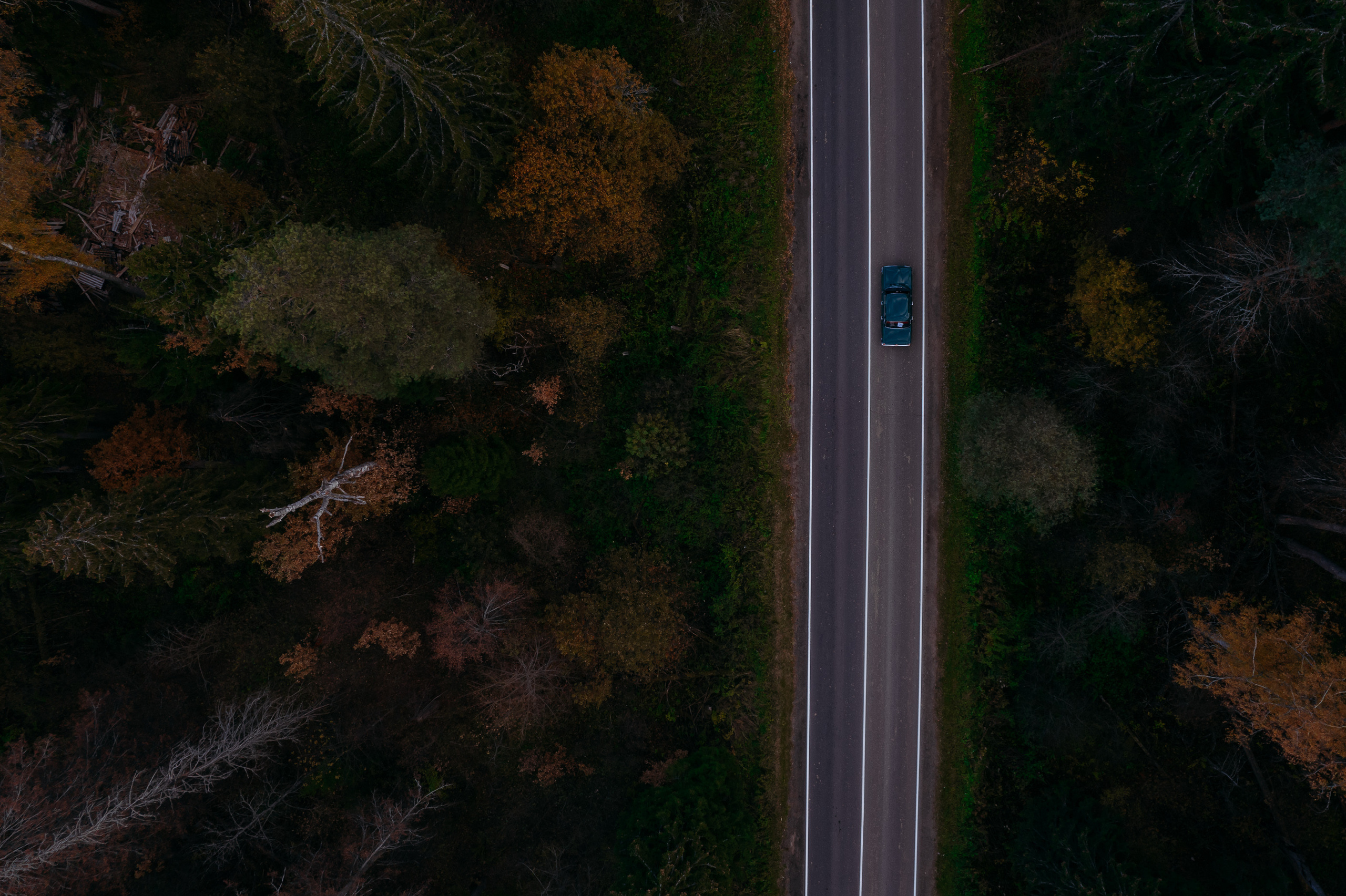 Евгений Зуев. Репортажный фотограф Москва