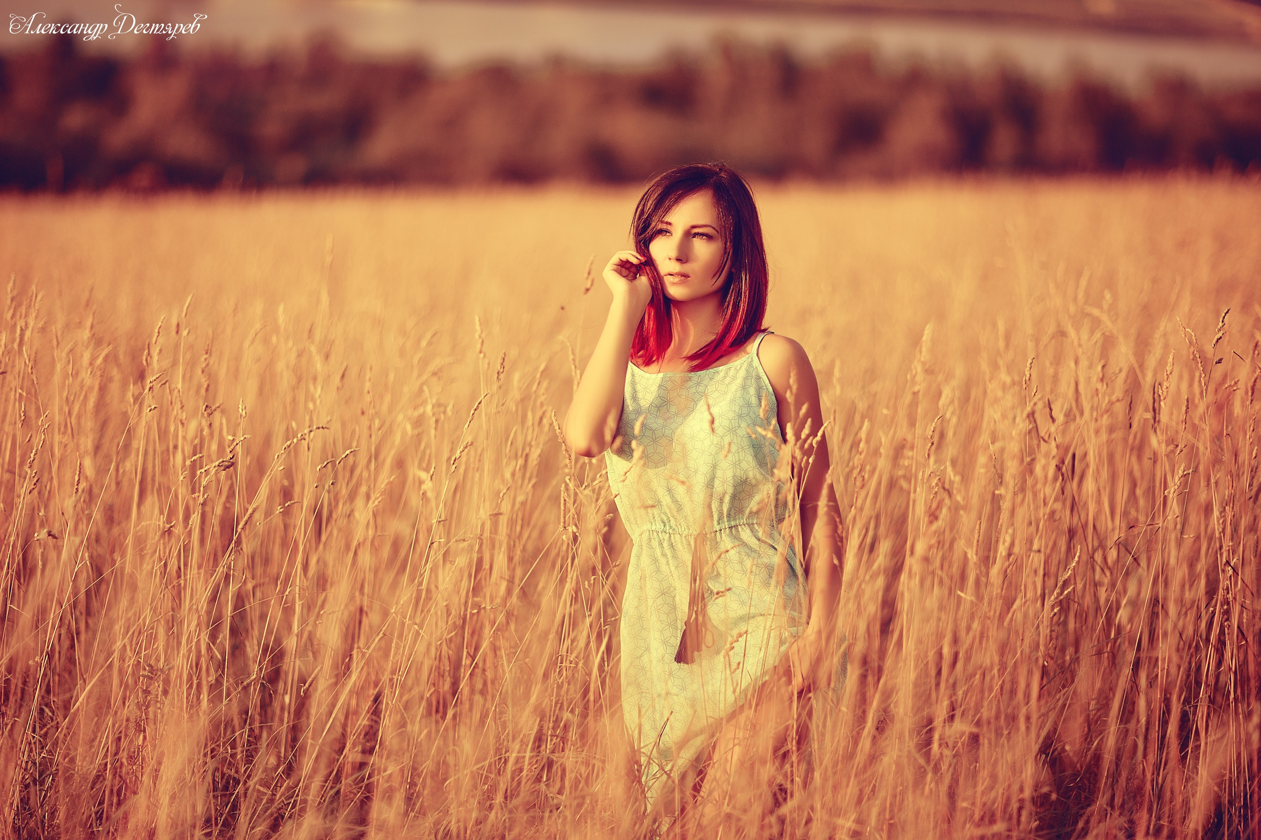 Индивидуальная фотосессия Череповец