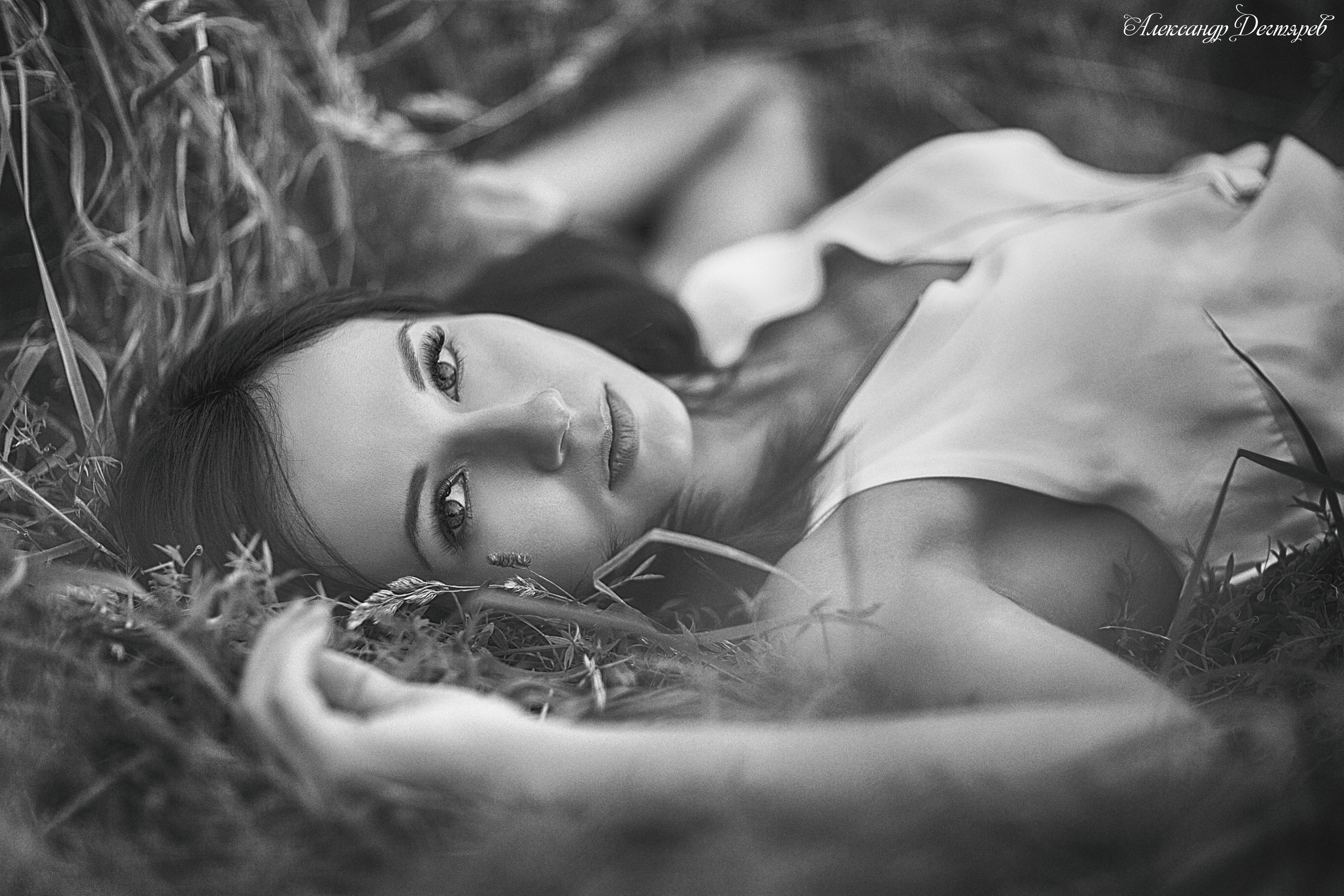 Индивидуальная фотосессия Череповец