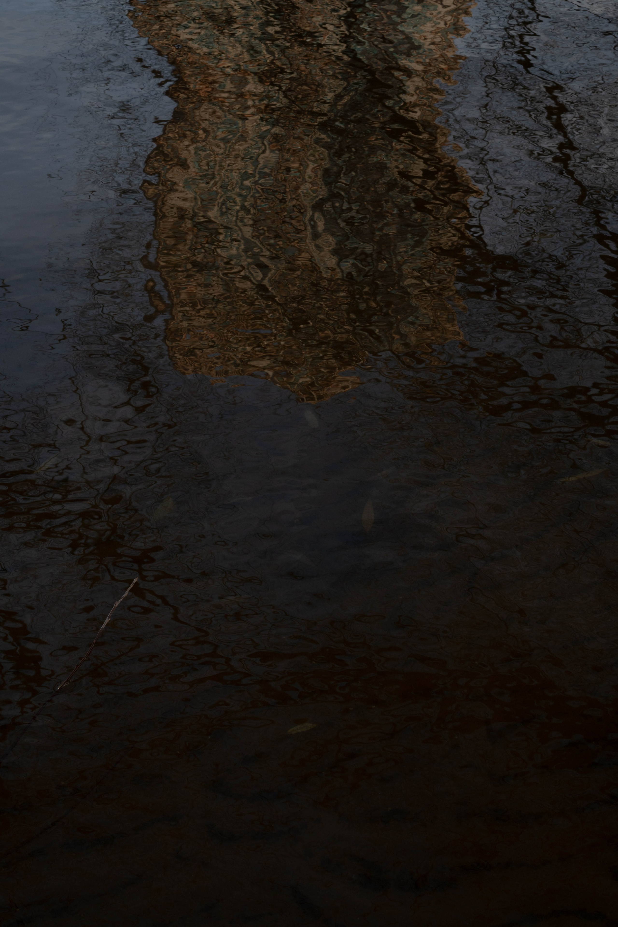 It was quietly sunny in shchukino. Shyjungle's Portfolio