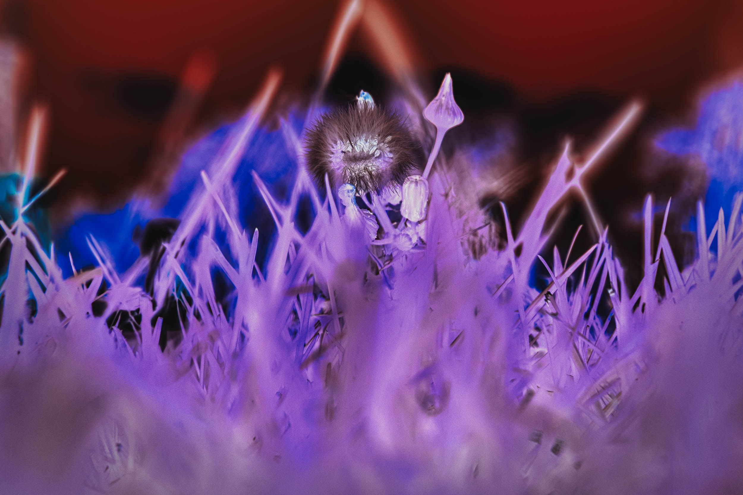 Фотограф Вадим Бодылев