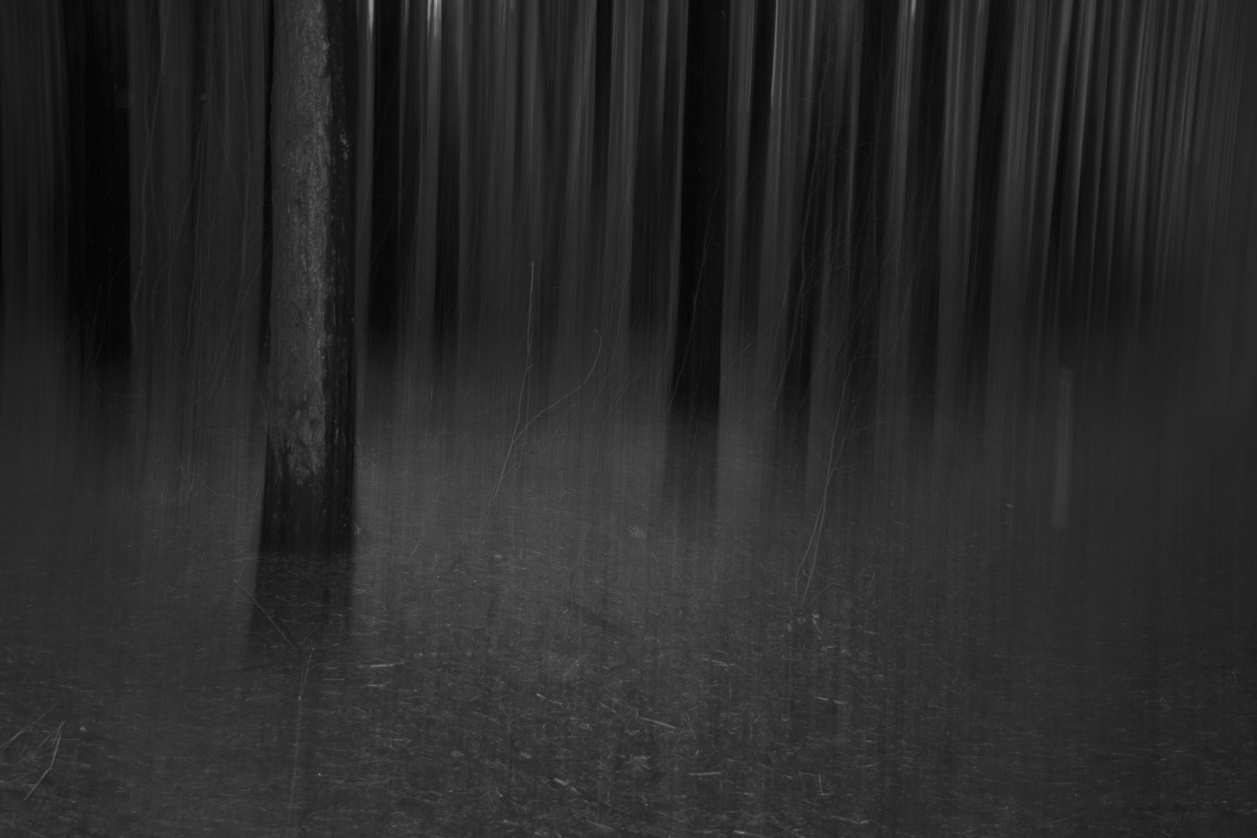 Олег Романов. Мастер фото по спорту