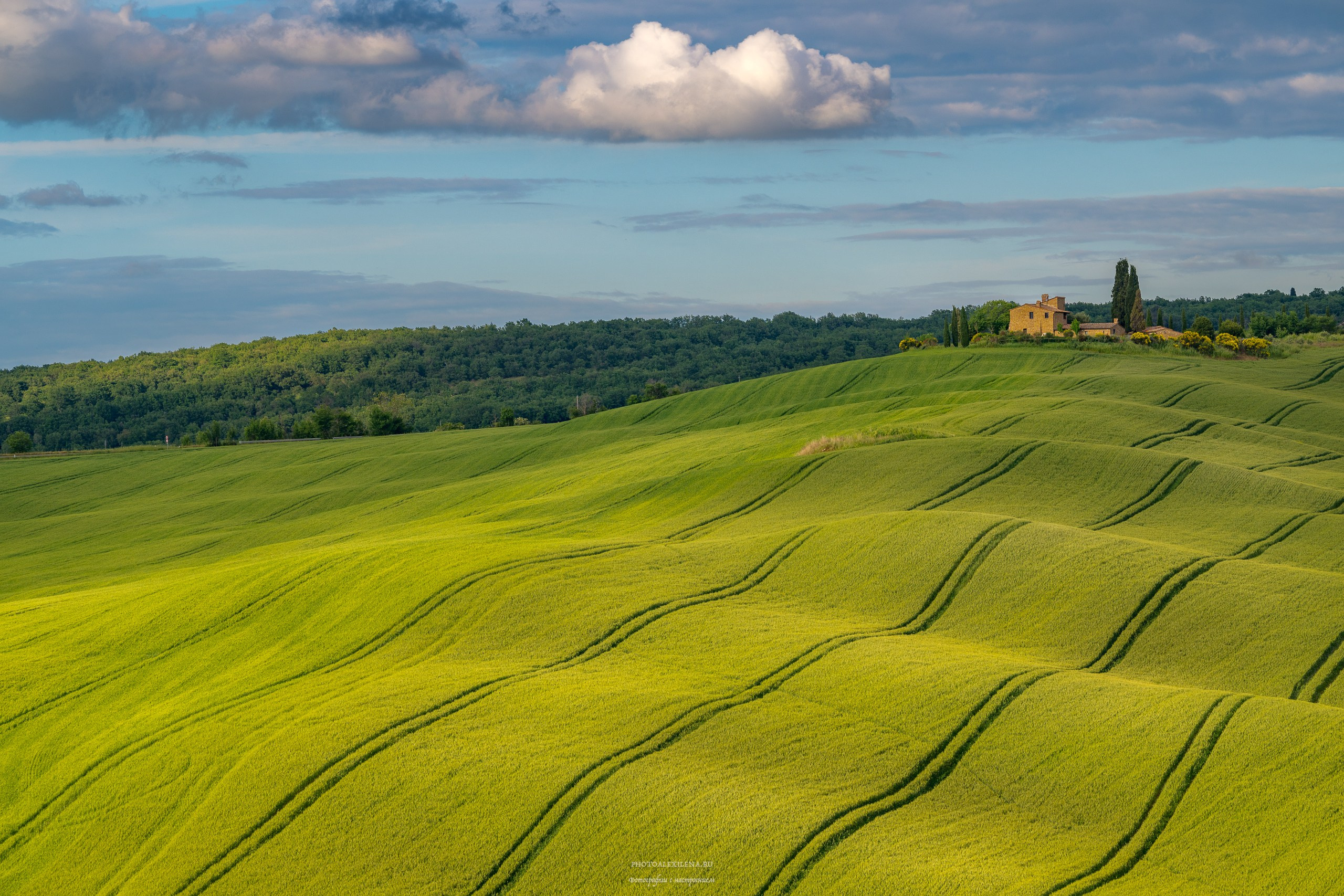 Путешествие сквозь красоту и вдохновение. Авторские стильные фотокартины