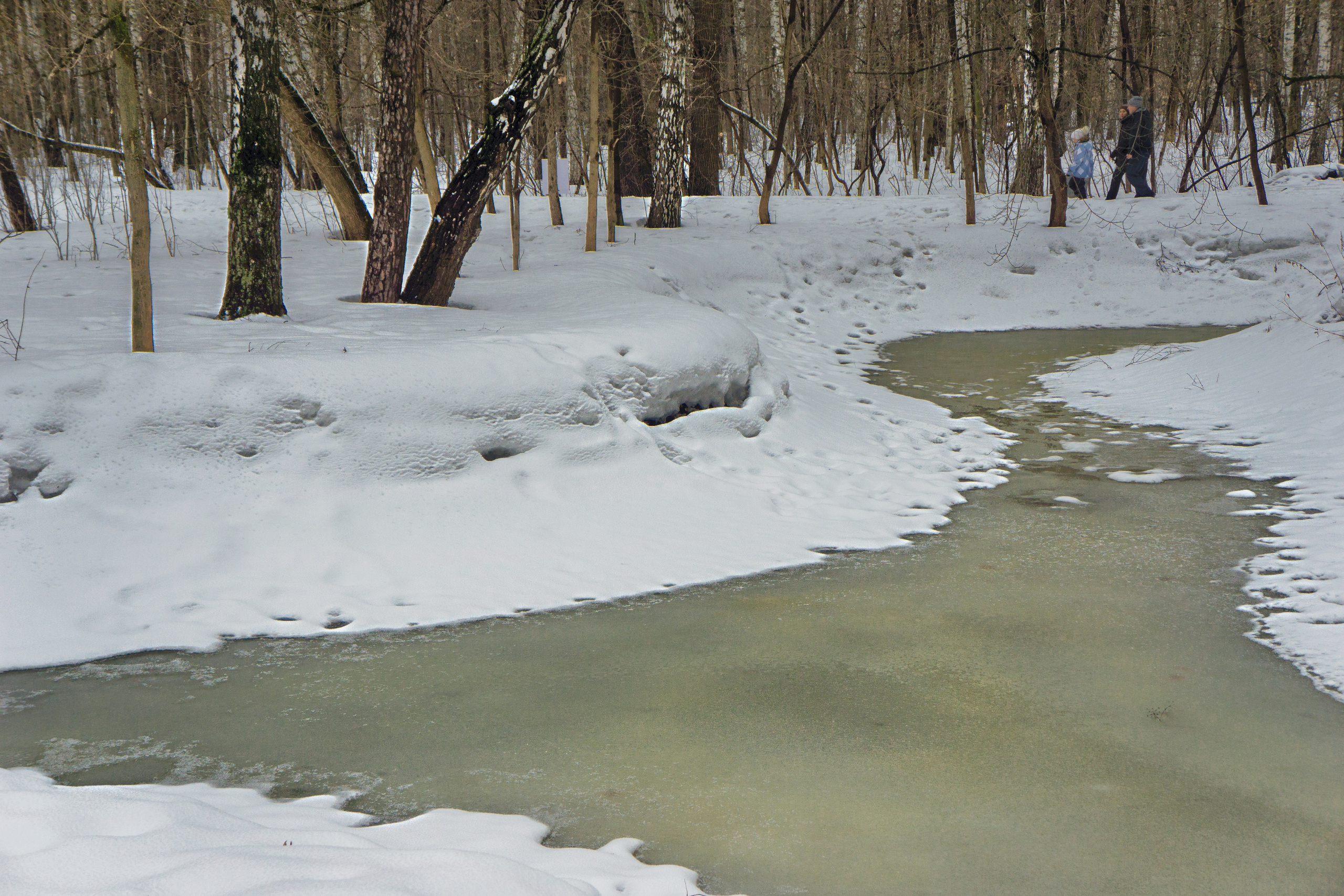 Фотопроект «Ранняя весна». Свадьбы, портретная, предметная съемка. Фотограф Александр К
