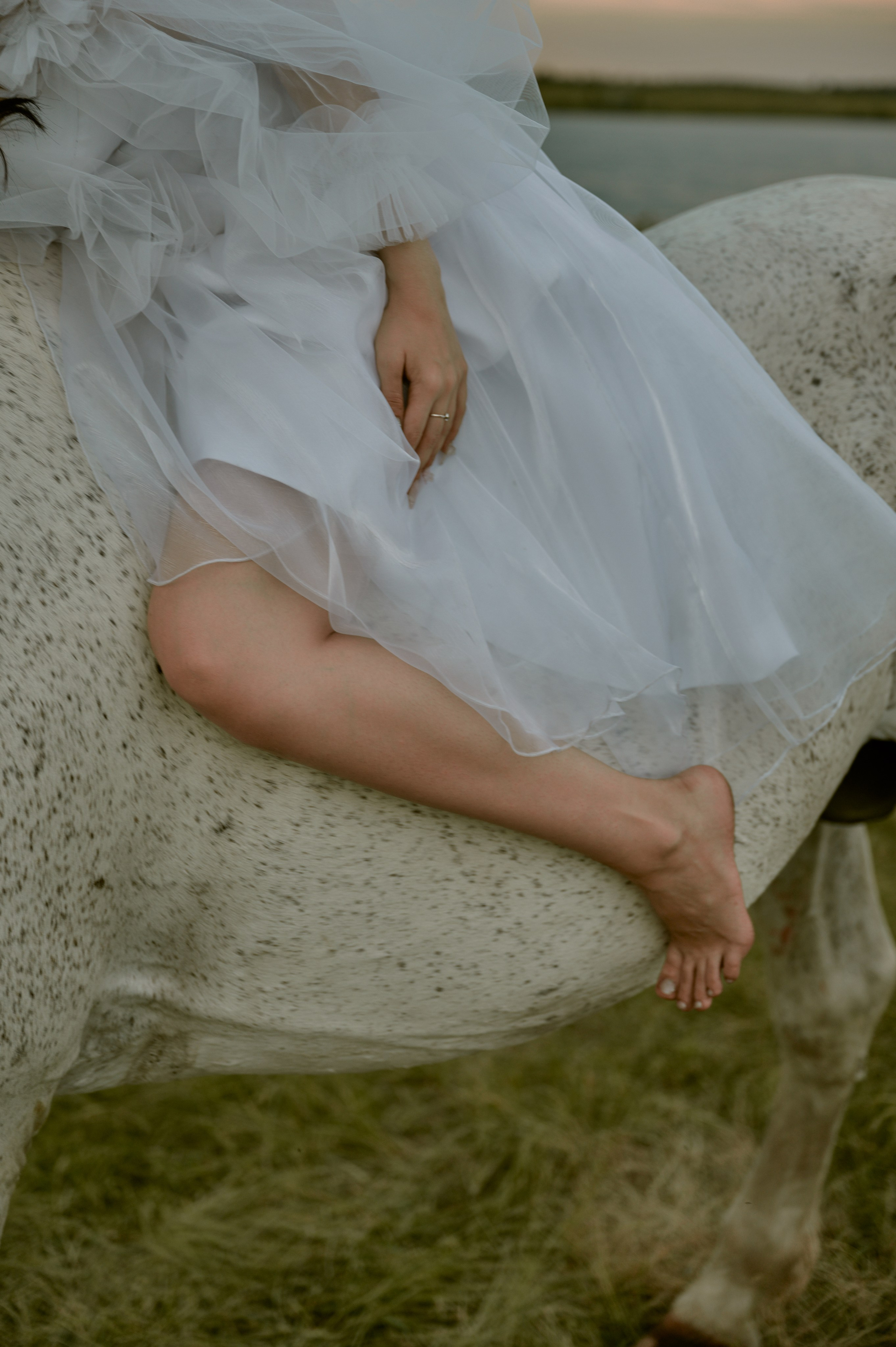 Лина и Гром. Фотограф Челябинск — Кирилл Устюжанин