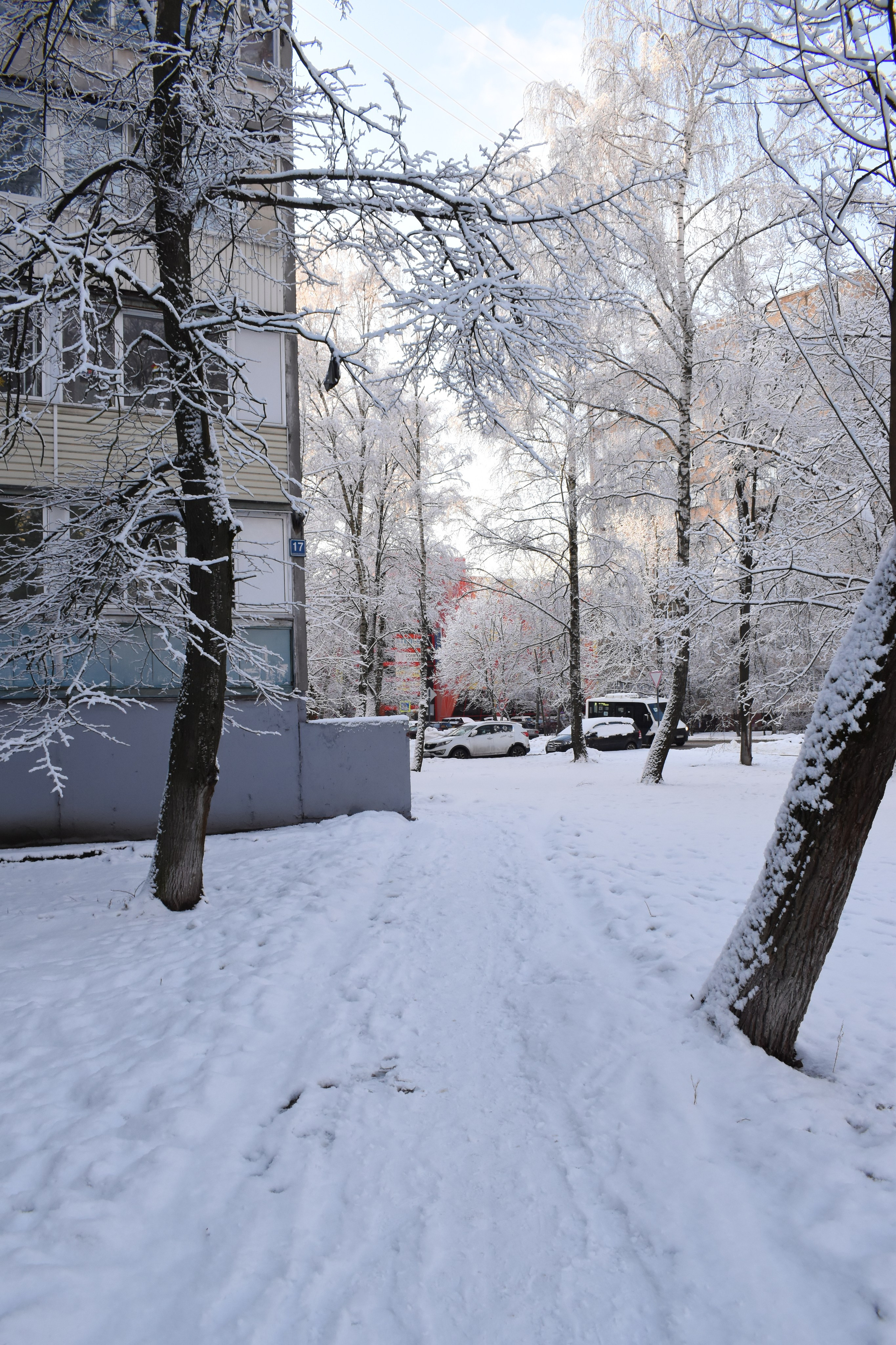 Последняя зимняя прогулка по городу в 2024 году. Фотограф Анатолий Мелентьев