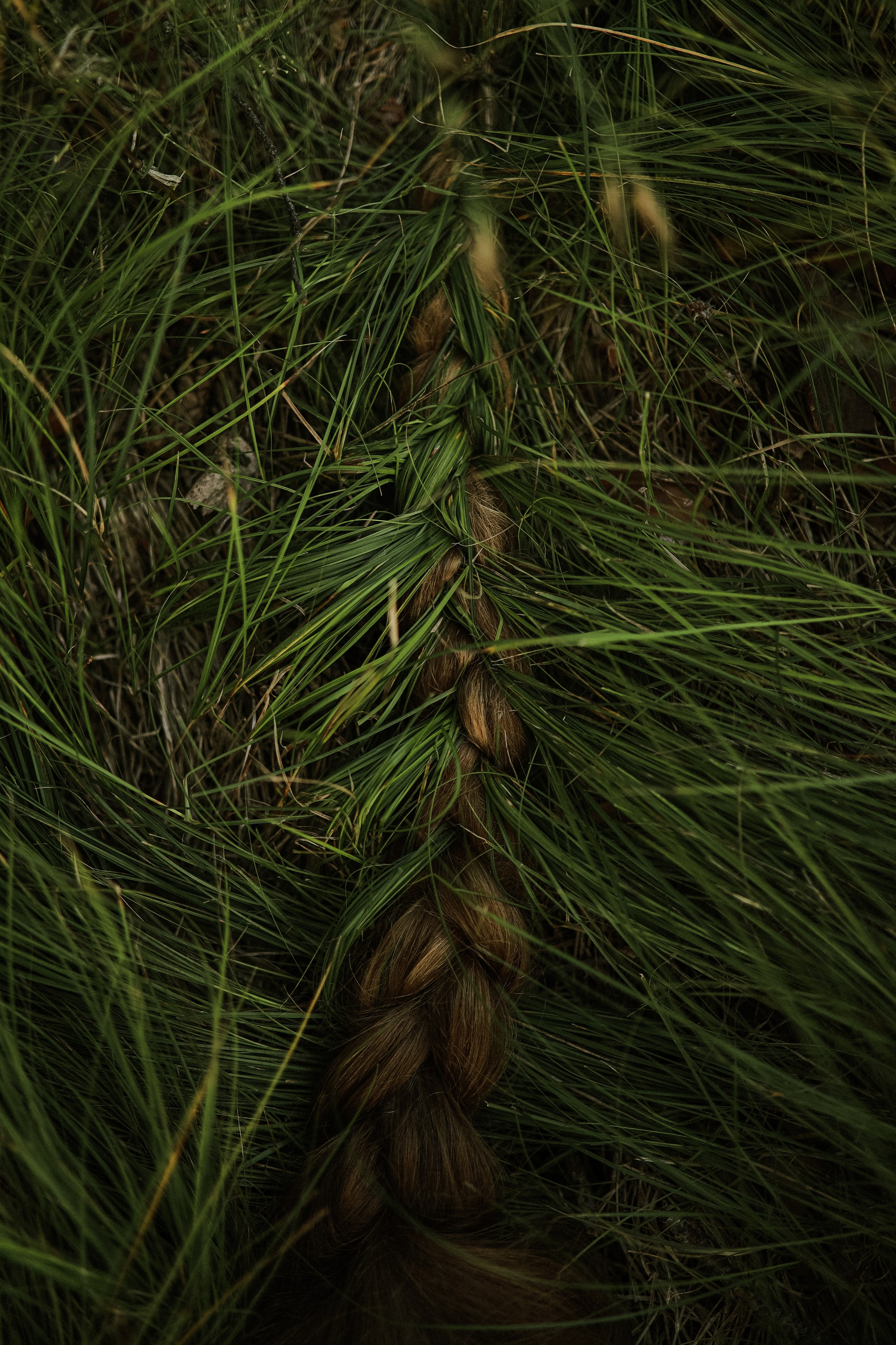 Фотограф в Москве, Электростали, Ногинске, Балашихе, Александра Кукушкина