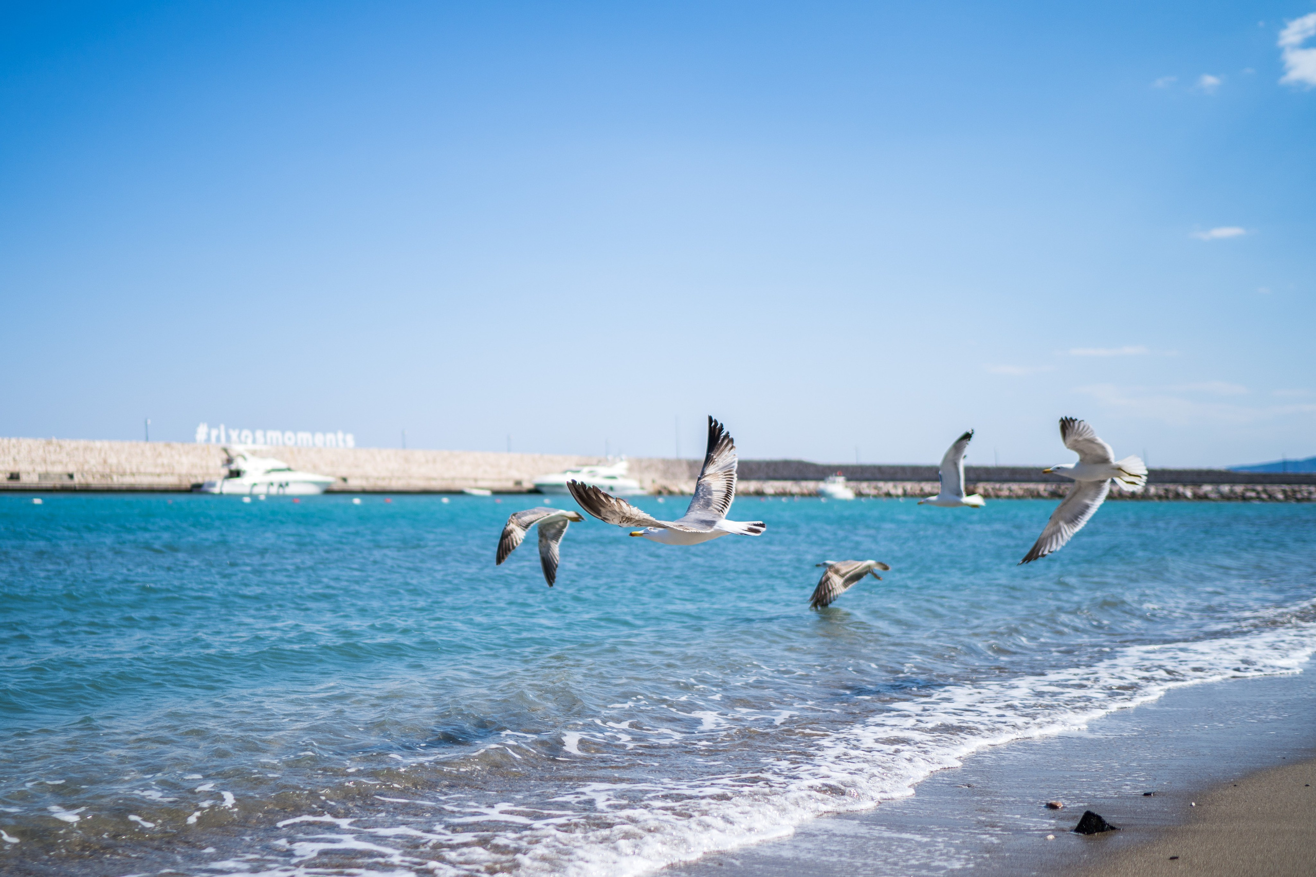 Фотограф в отель.Москва. Каталожная и промышленная съемка в Москве Александр Плонский