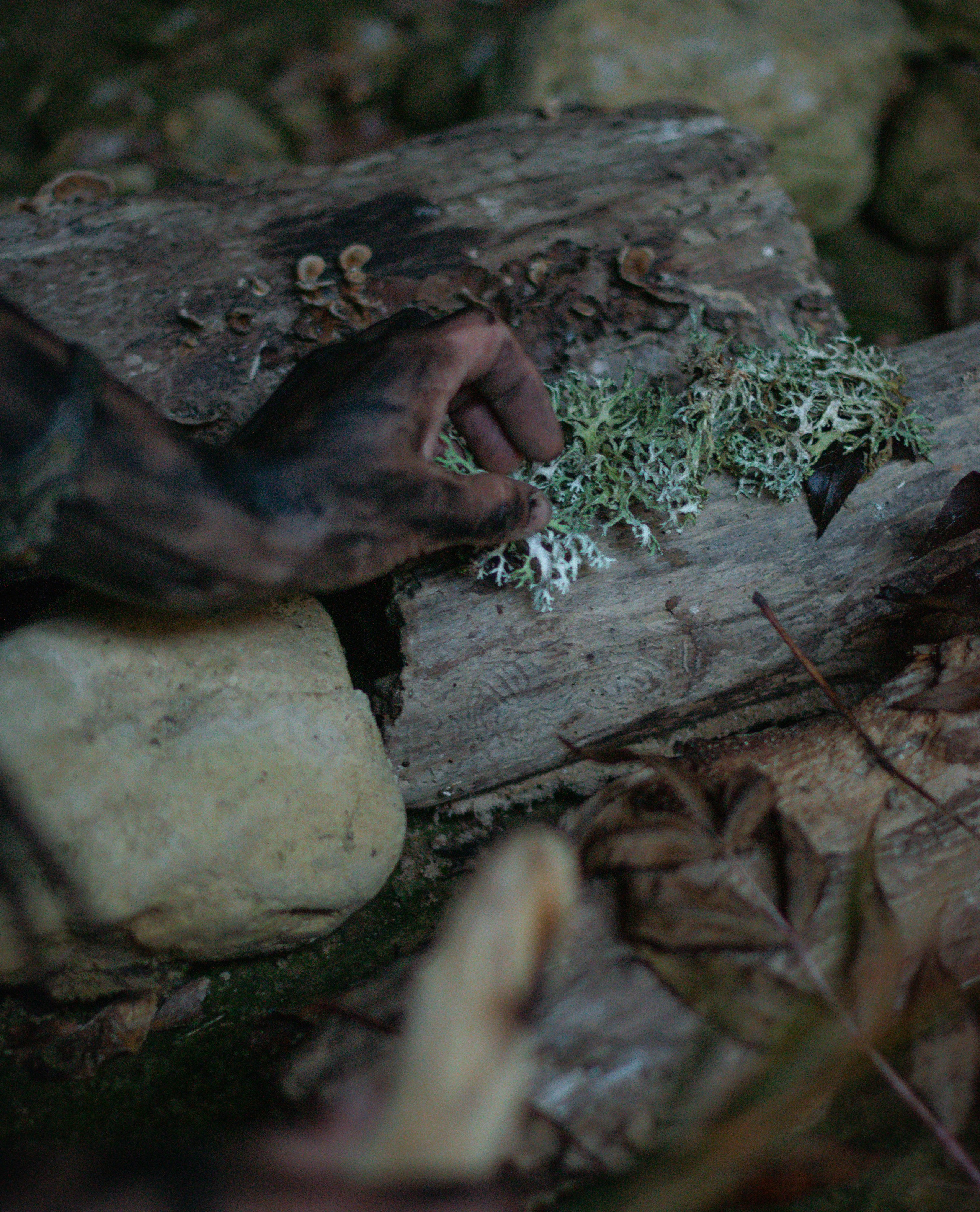 Шаман. Фотограф в Севастополе