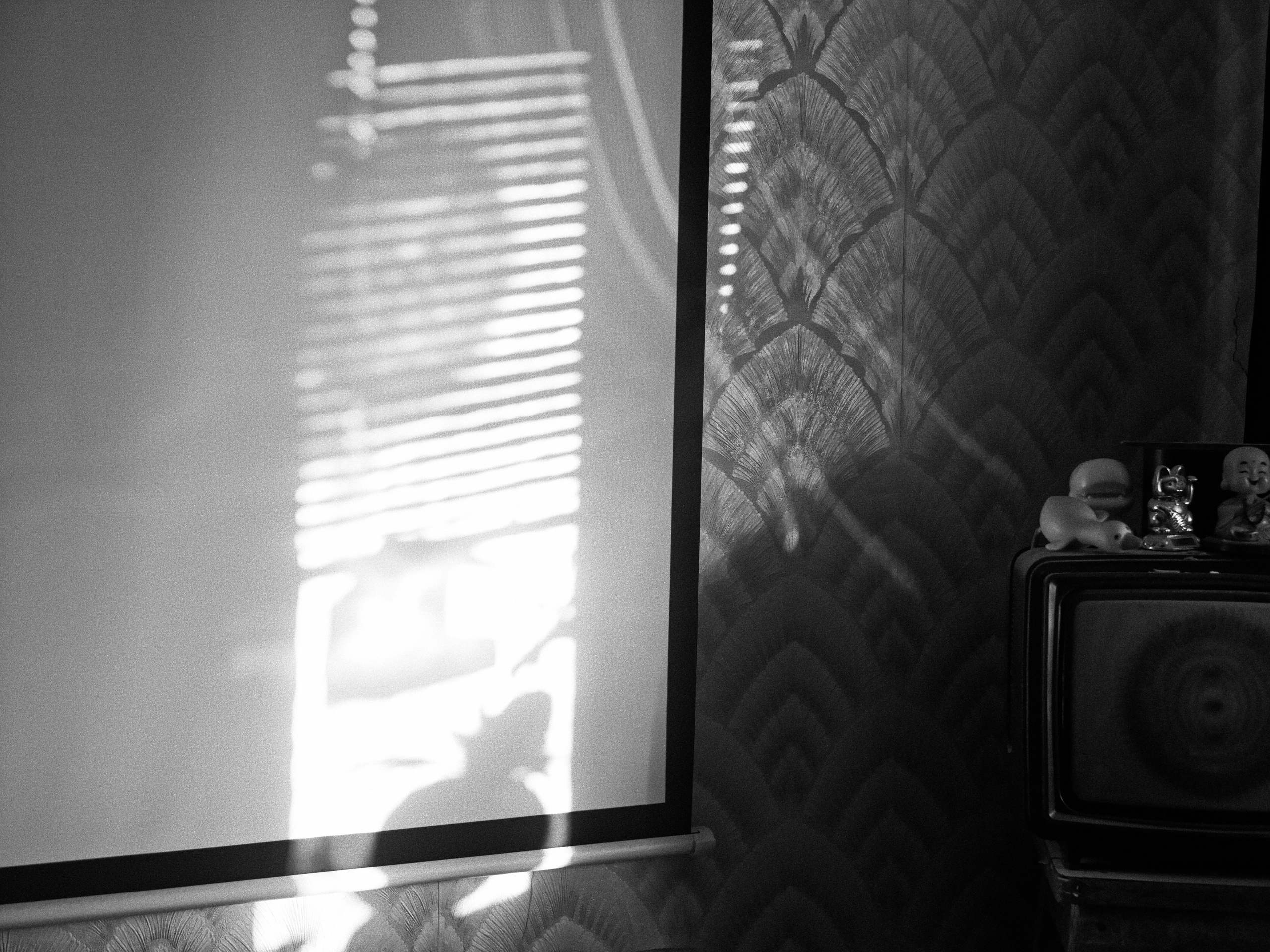 Sources of Visual Pleasure in Intermediate States (2026–ongoing). Roman Hodirev is an esoteriologist, multidisciplinary artist, photographer and musician. Saint Petersburg, Riga