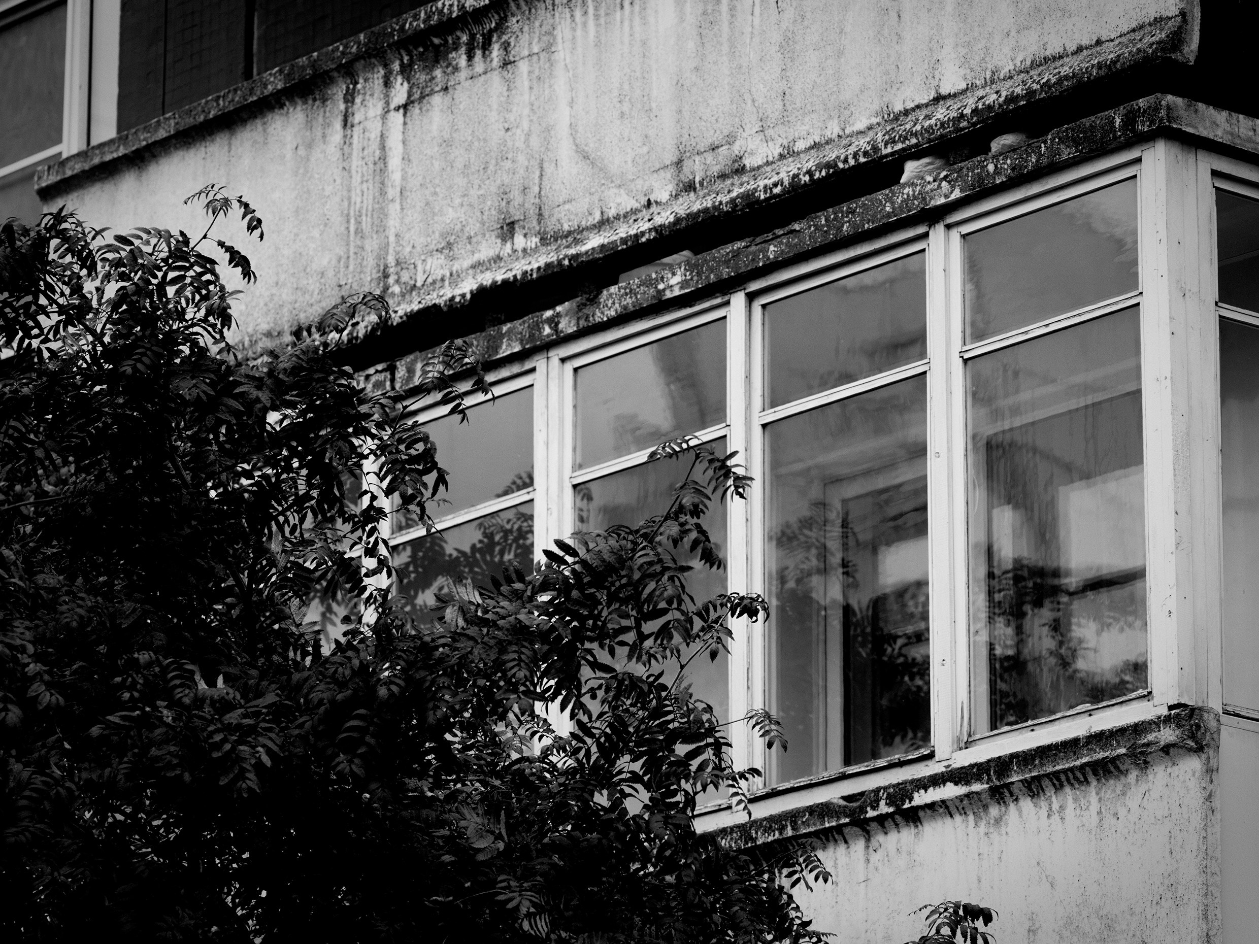 Sources of Visual Pleasure in Intermediate States (2026–ongoing). Roman Hodirev is an esoteriologist, multidisciplinary artist, photographer and musician. Saint Petersburg, Riga