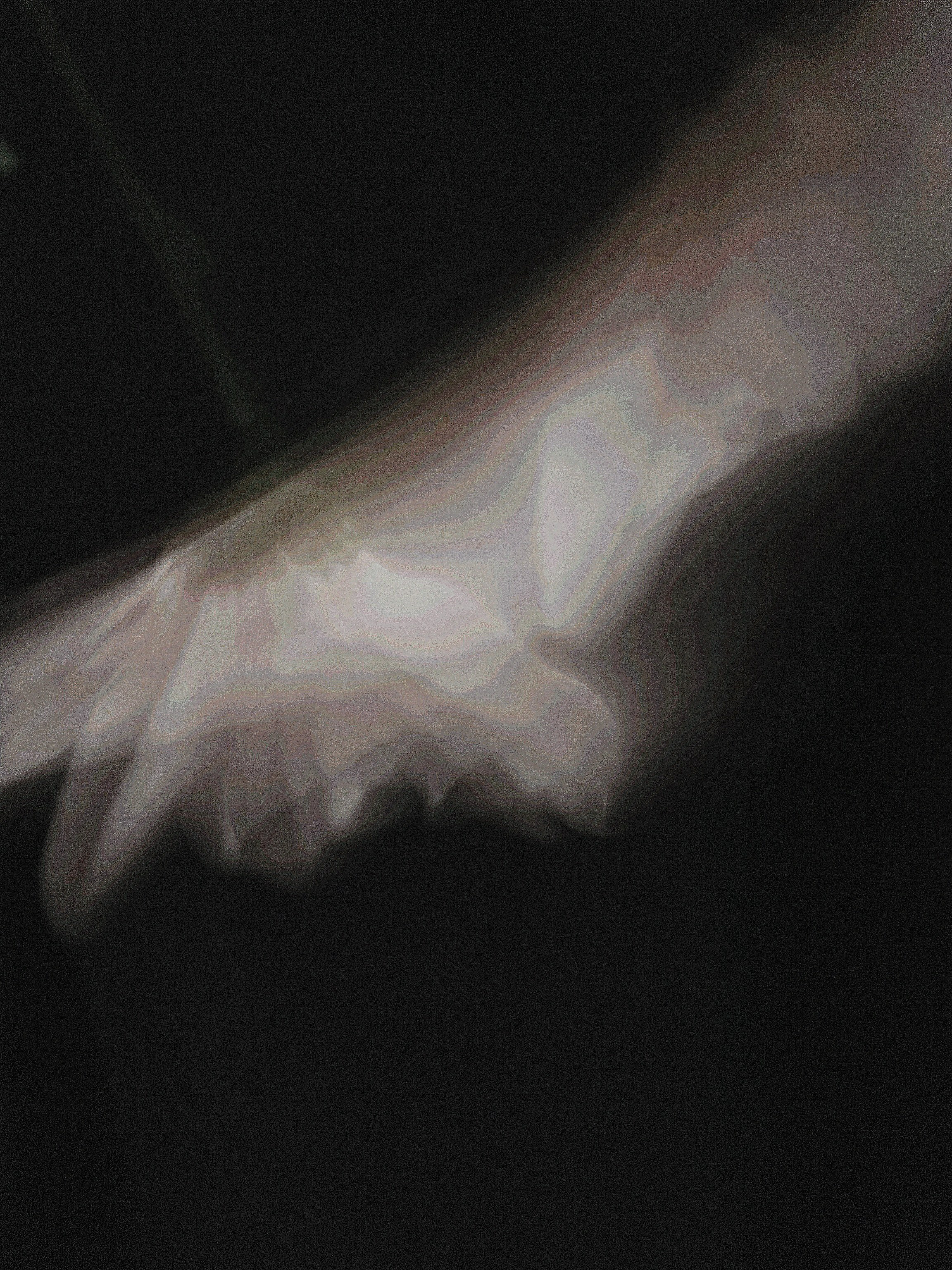 Фотограф из Санкт-Петербурга/Катерина Зайцева