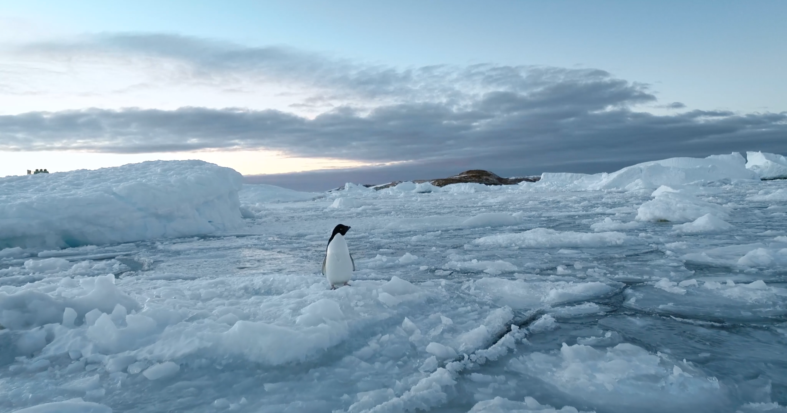 Цветокоррекция и монтаж фильмов, клипов и рекламы