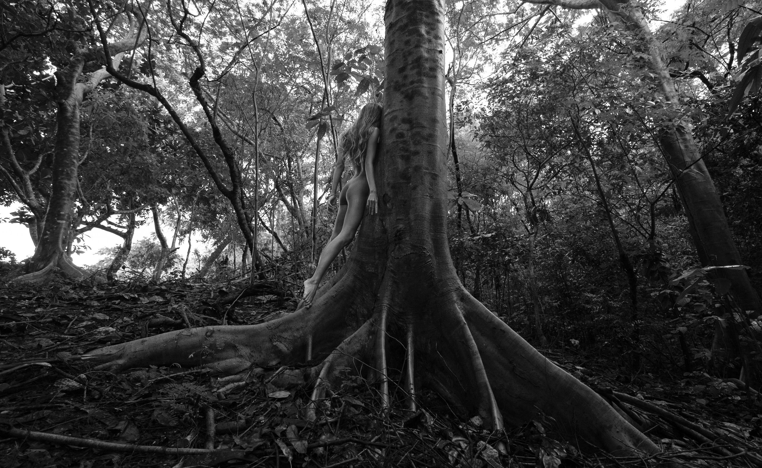 Природа. Фотограф Александр Медведев