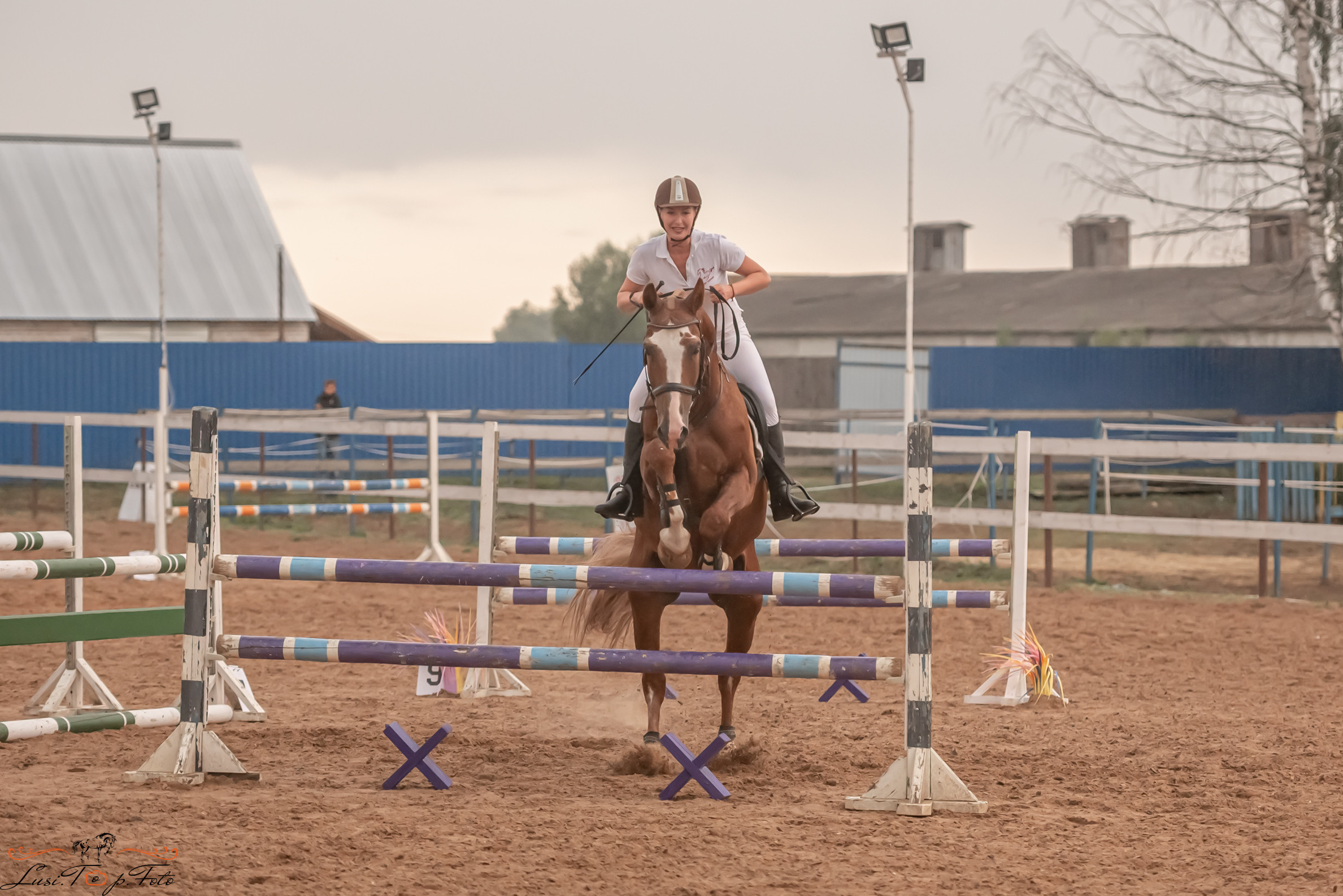 Открытая тренировка по выездке и конкуру в КК Резвая. Конный и фотограф с животными в Твери Топталова Люся