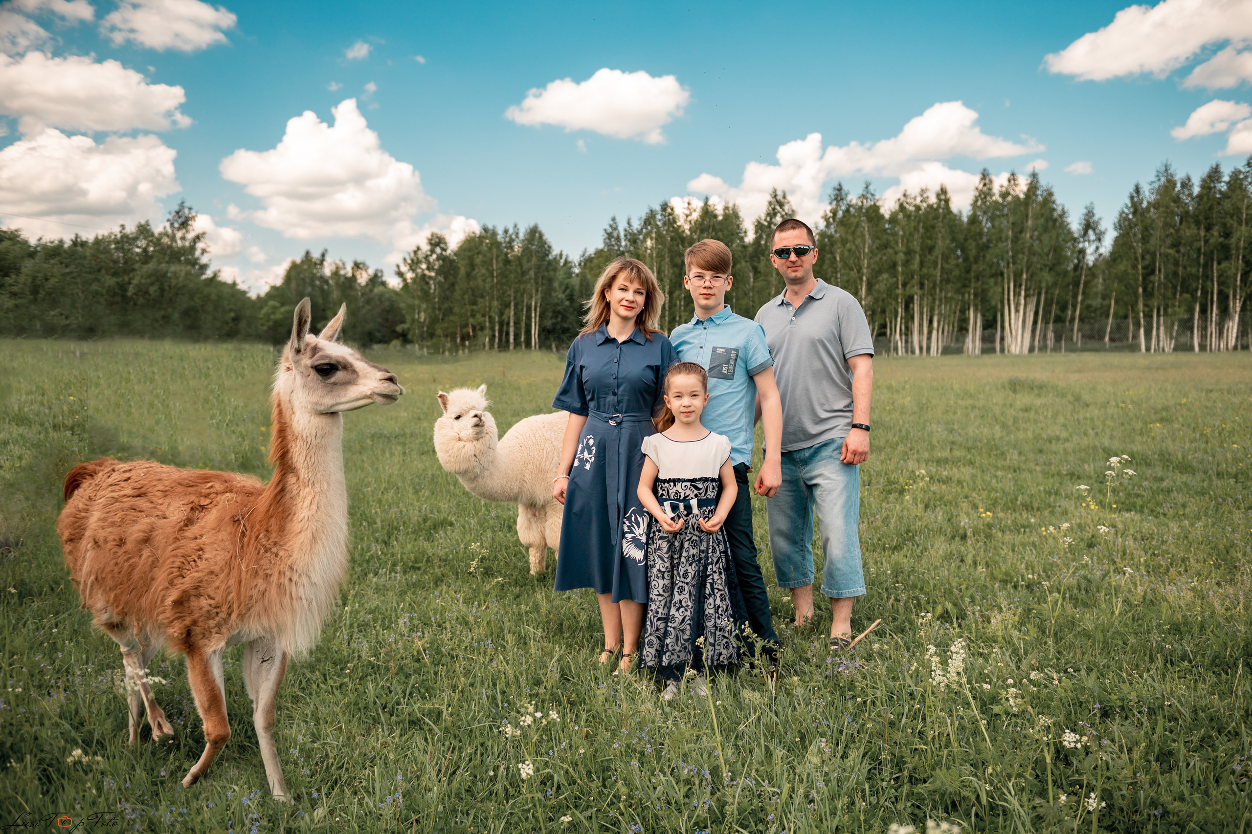 Оленья ферма. Конный и фотограф с животными в Твери Топталова Люся