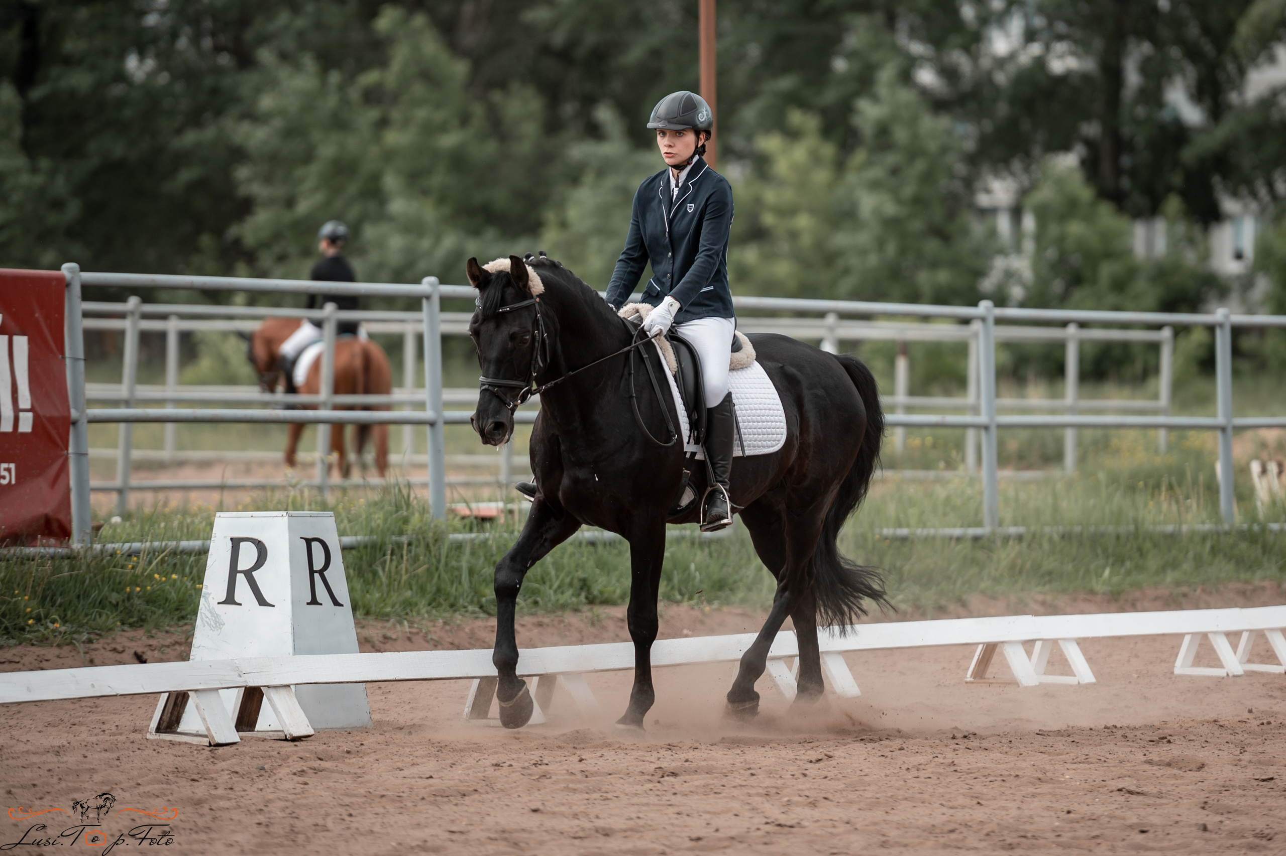 Чемпионат и первенство Тверской области по выездке. Конный и фотограф с животными в Твери Топталова Люся