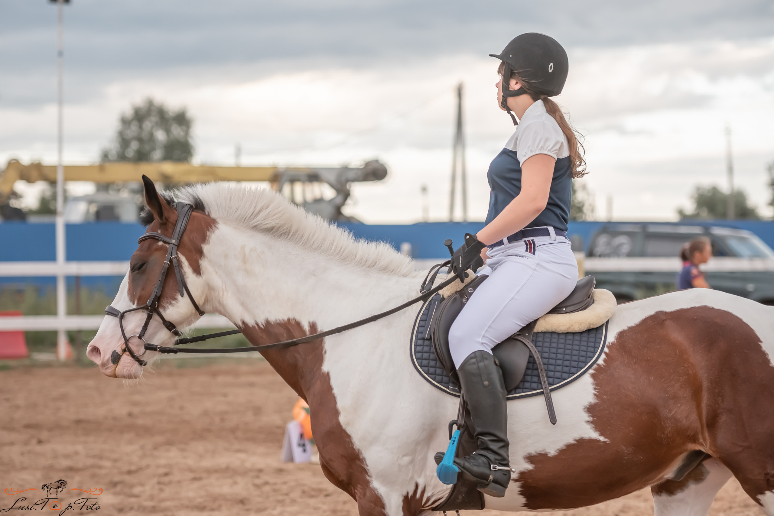 Открытая тренировка по выездке и конкуру в КК Резвая. Конный и фотограф с животными в Твери Топталова Люся