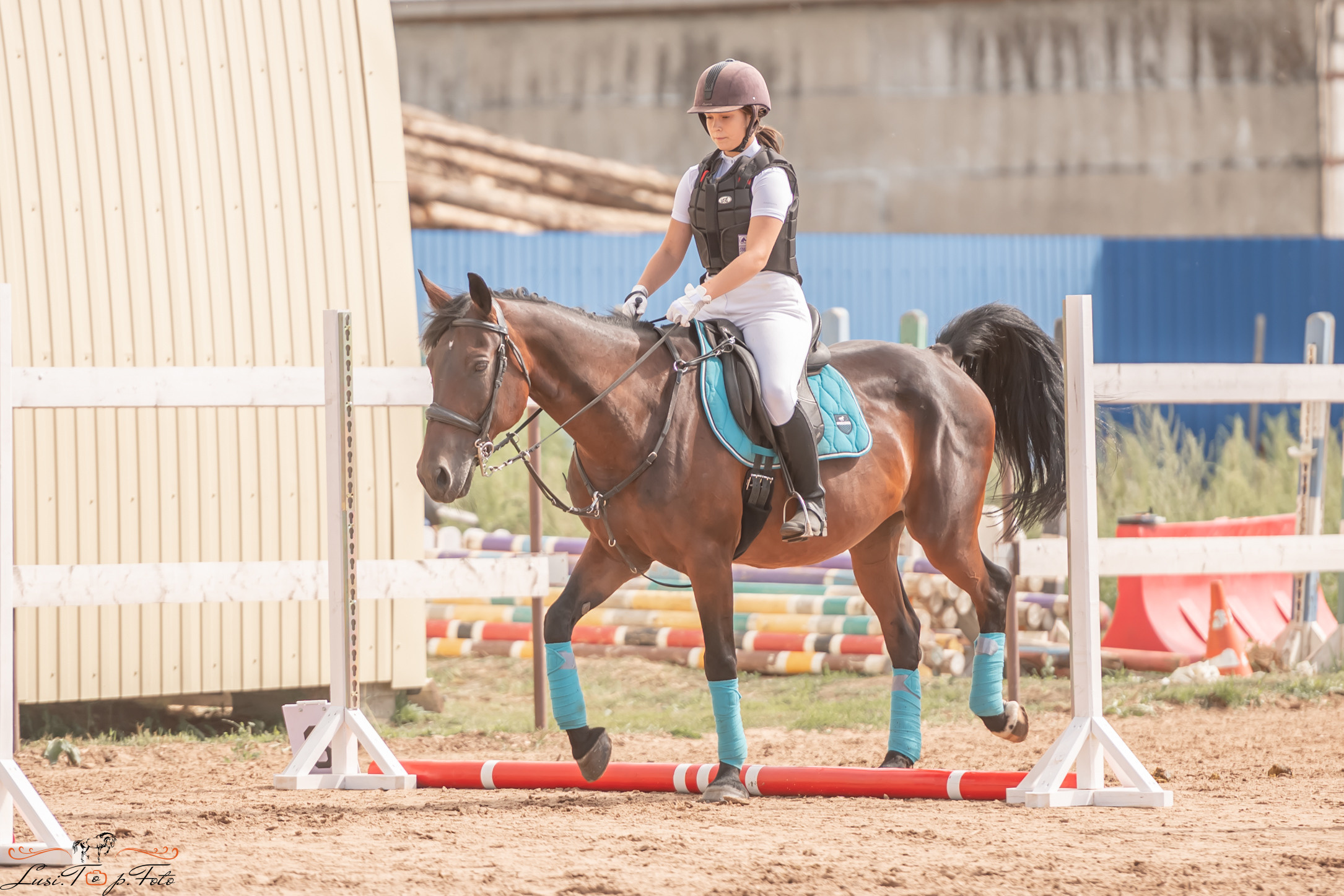 Открытая тренировка по выездке и конкуру в КК Резвая. Конный и фотограф с животными в Твери Топталова Люся