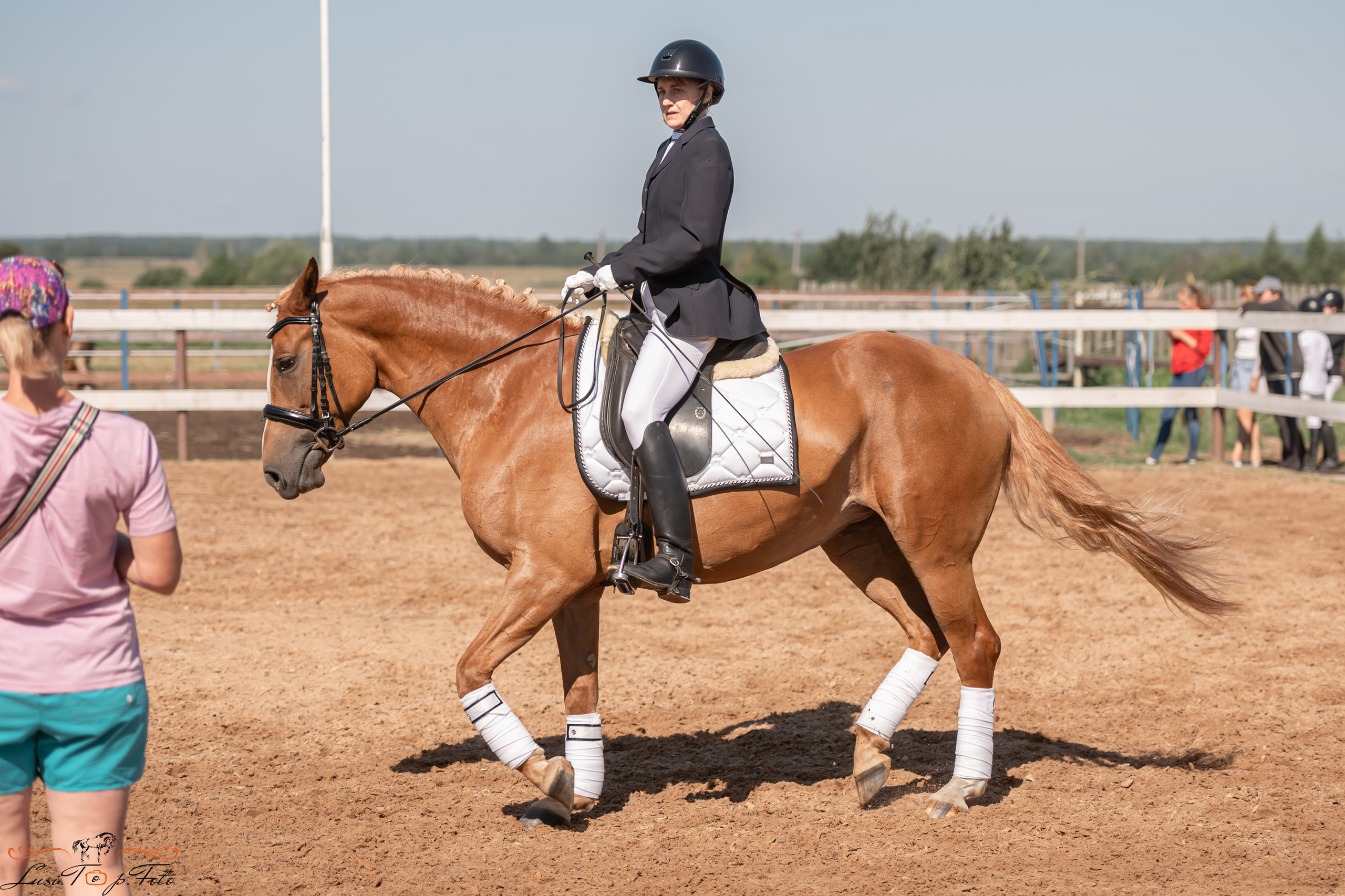 Открытая тренировка по выездке и конкуру в КК Резвая. Конный и фотограф с животными в Твери Топталова Люся