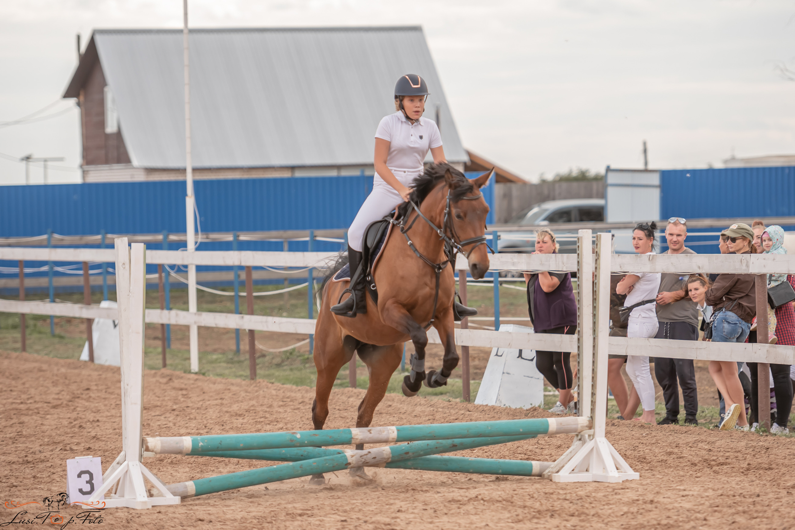 Открытая тренировка по выездке и конкуру в КК Резвая. Конный и фотограф с животными в Твери Топталова Люся