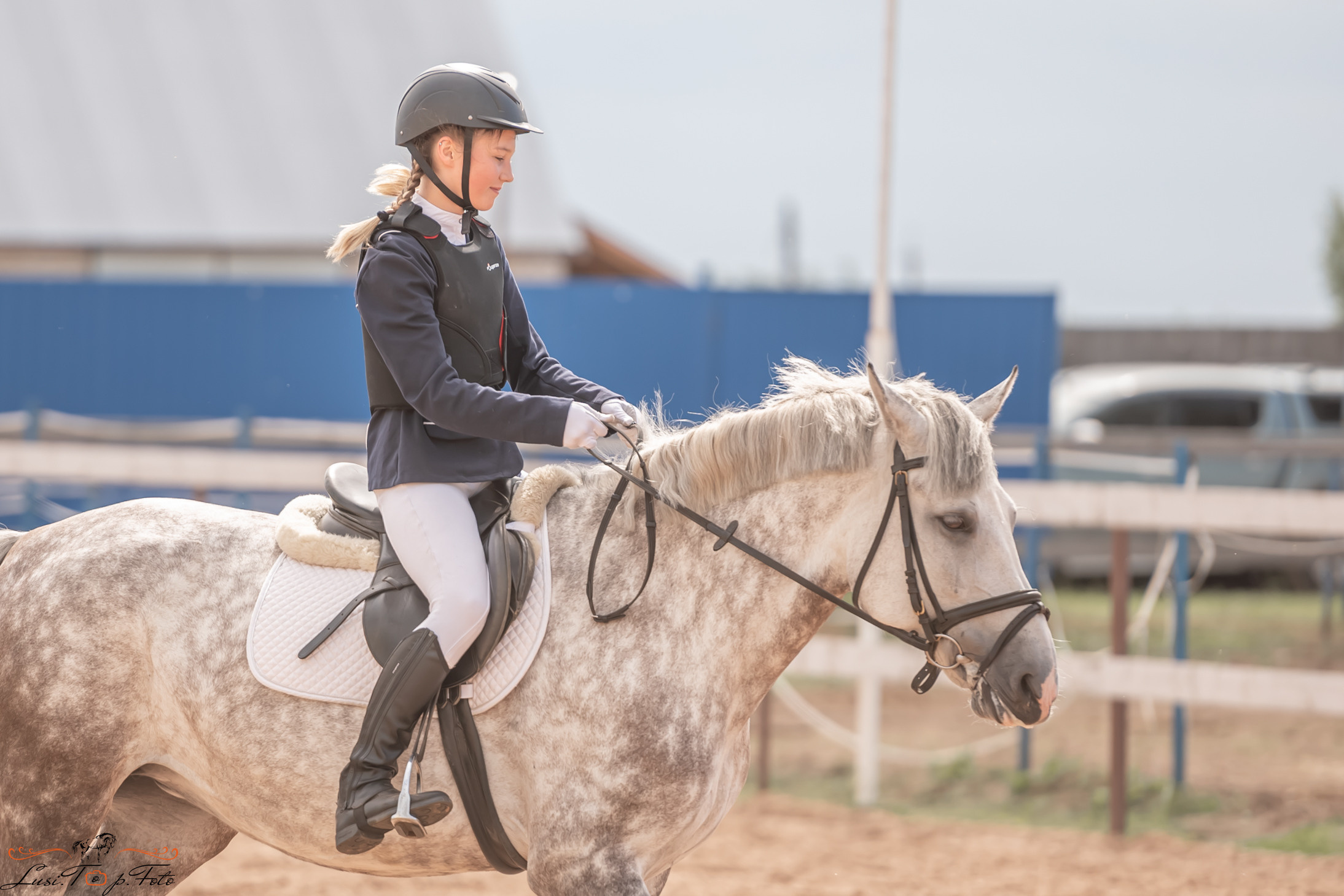 Открытая тренировка по выездке и конкуру в КК Резвая. Конный и фотограф с животными в Твери Топталова Люся