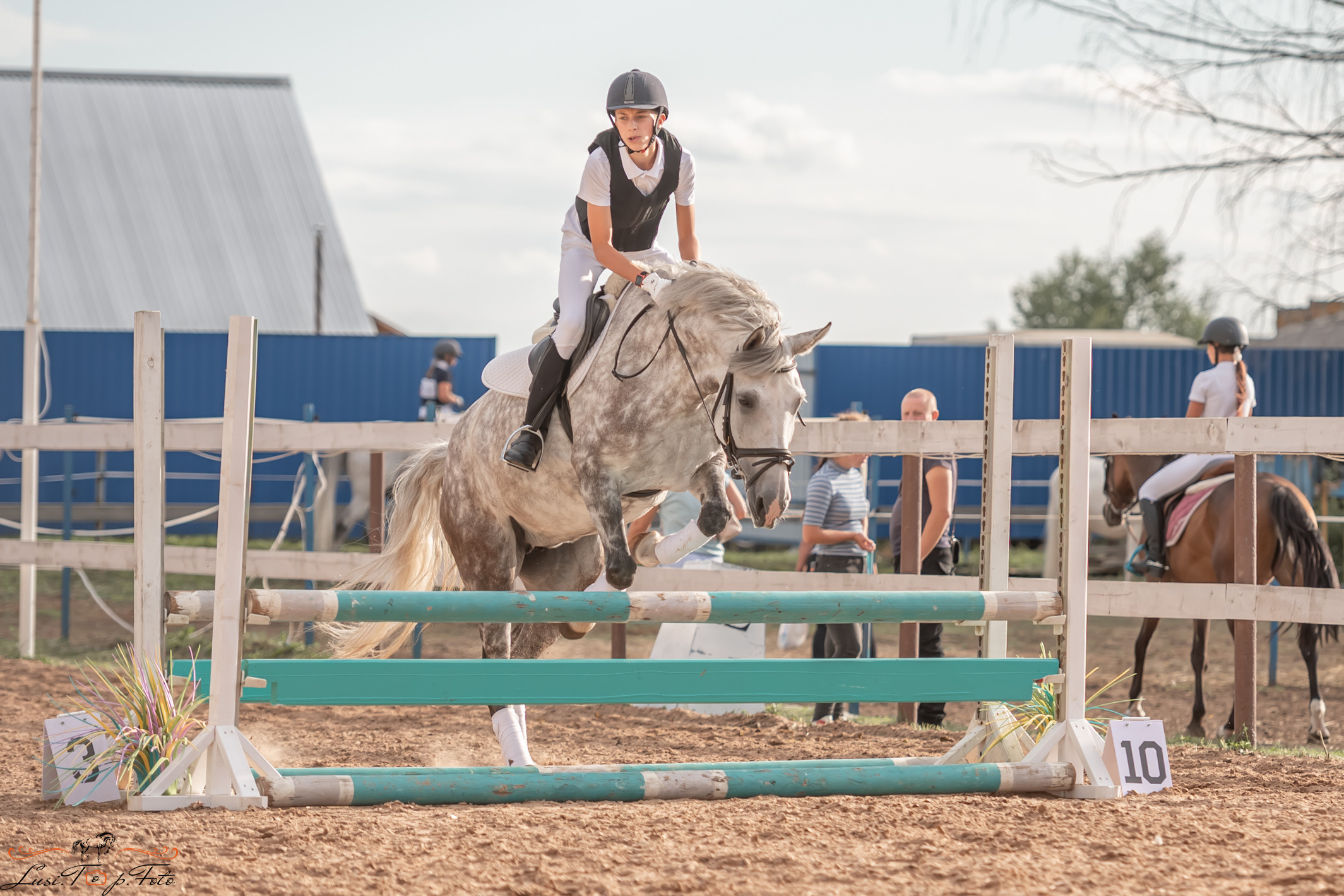 Открытая тренировка по выездке и конкуру в КК Резвая. Конный и фотограф с животными в Твери Топталова Люся