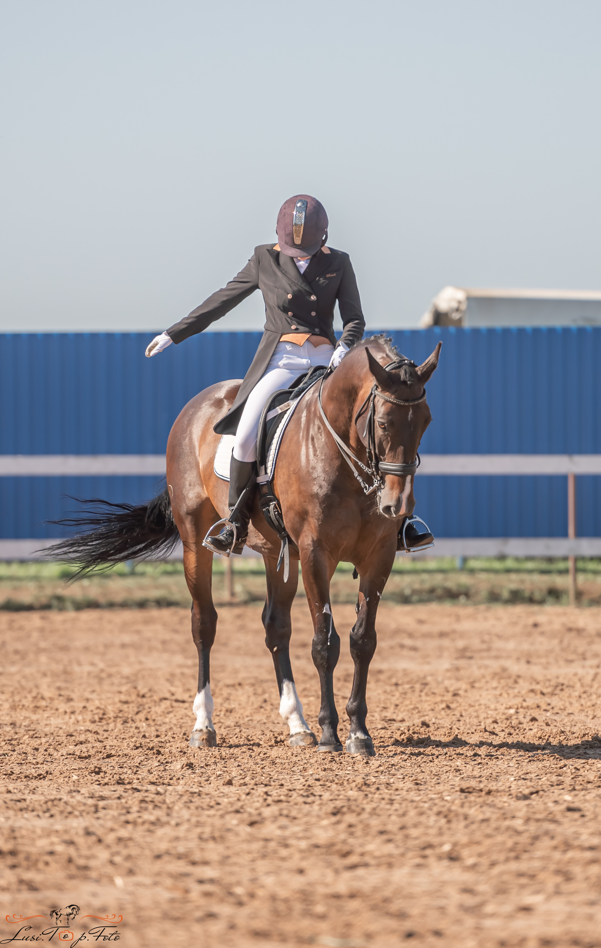 Открытая тренировка по выездке и конкуру в КК Резвая. Конный и фотограф с животными в Твери Топталова Люся