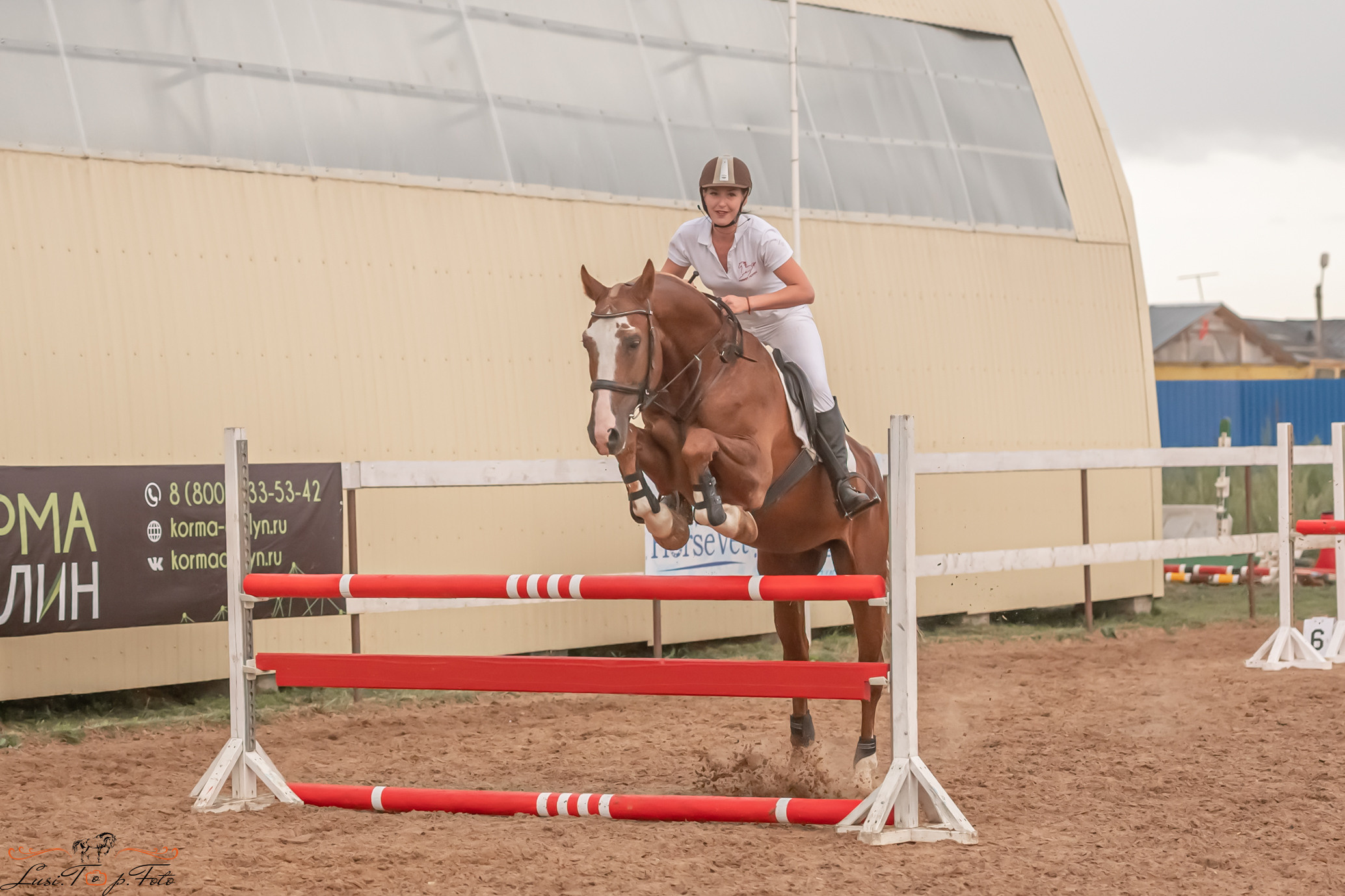 Открытая тренировка по выездке и конкуру в КК Резвая. Конный и фотограф с животными в Твери Топталова Люся