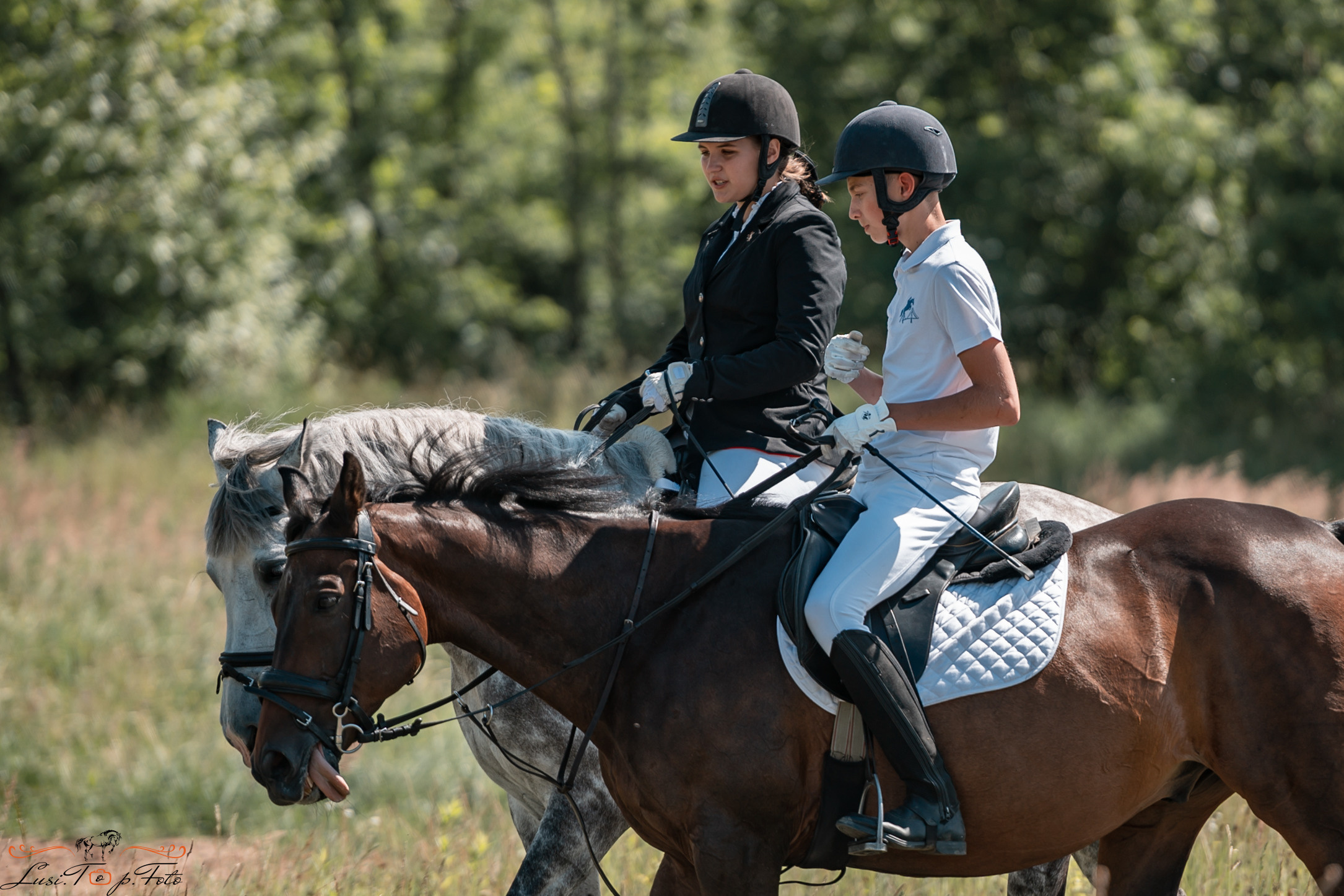 Первенство Тверской области по конкуру на Тверском ипподроме. Конный и фотограф с животными в Твери Топталова Люся