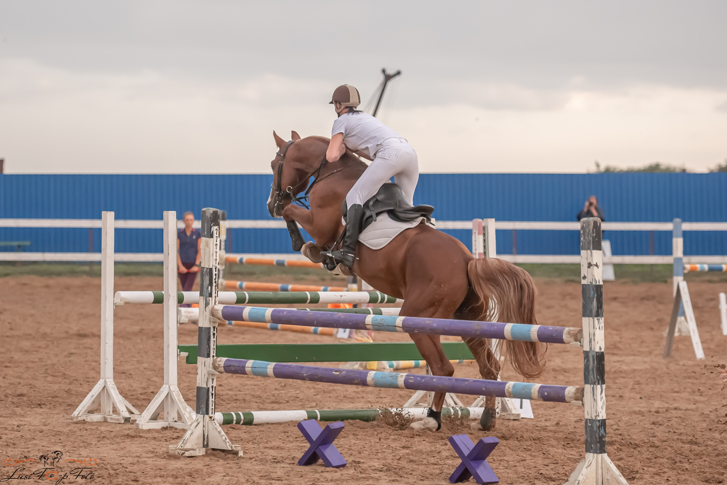Открытая тренировка по выездке и конкуру в КК Резвая. Конный и фотограф с животными в Твери Топталова Люся