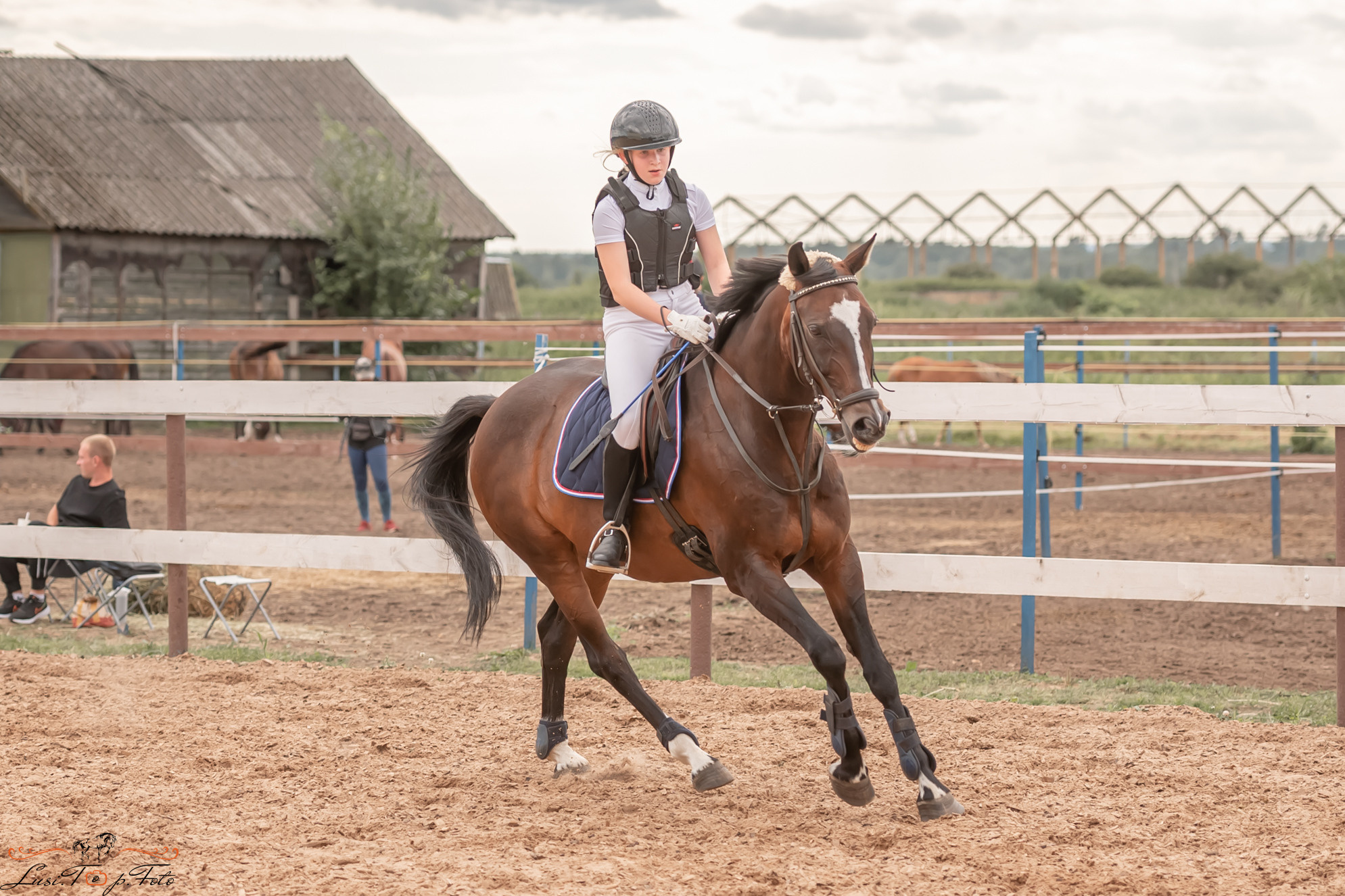Открытая тренировка по выездке и конкуру в КК Резвая. Конный и фотограф с животными в Твери Топталова Люся