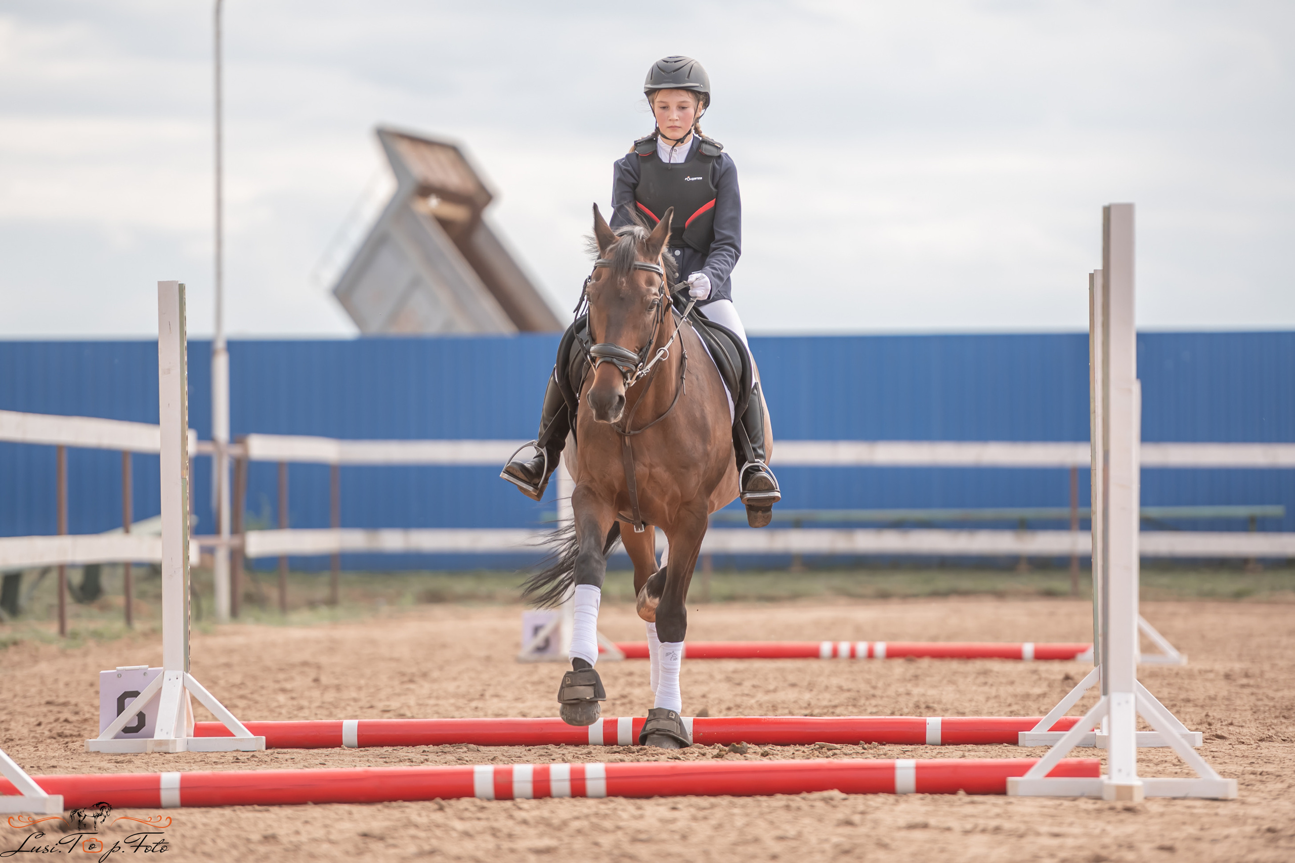 Открытая тренировка по выездке и конкуру в КК Резвая. Конный и фотограф с животными в Твери Топталова Люся