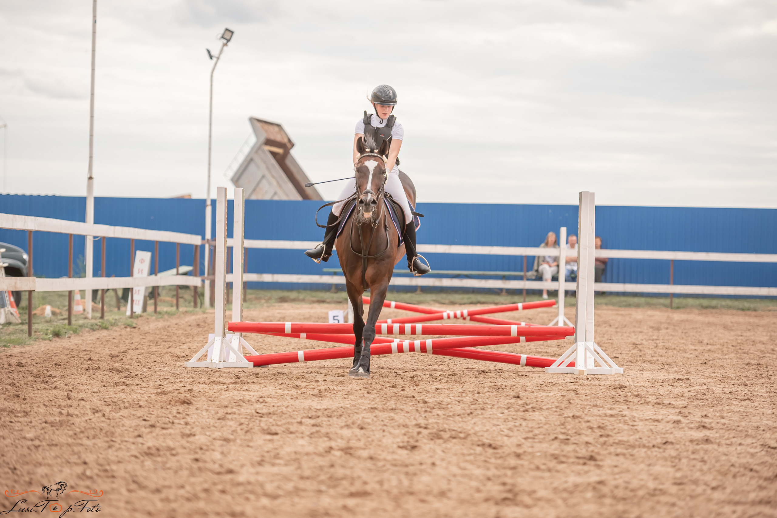 Открытая тренировка по выездке и конкуру в КК Резвая. Конный и фотограф с животными в Твери Топталова Люся