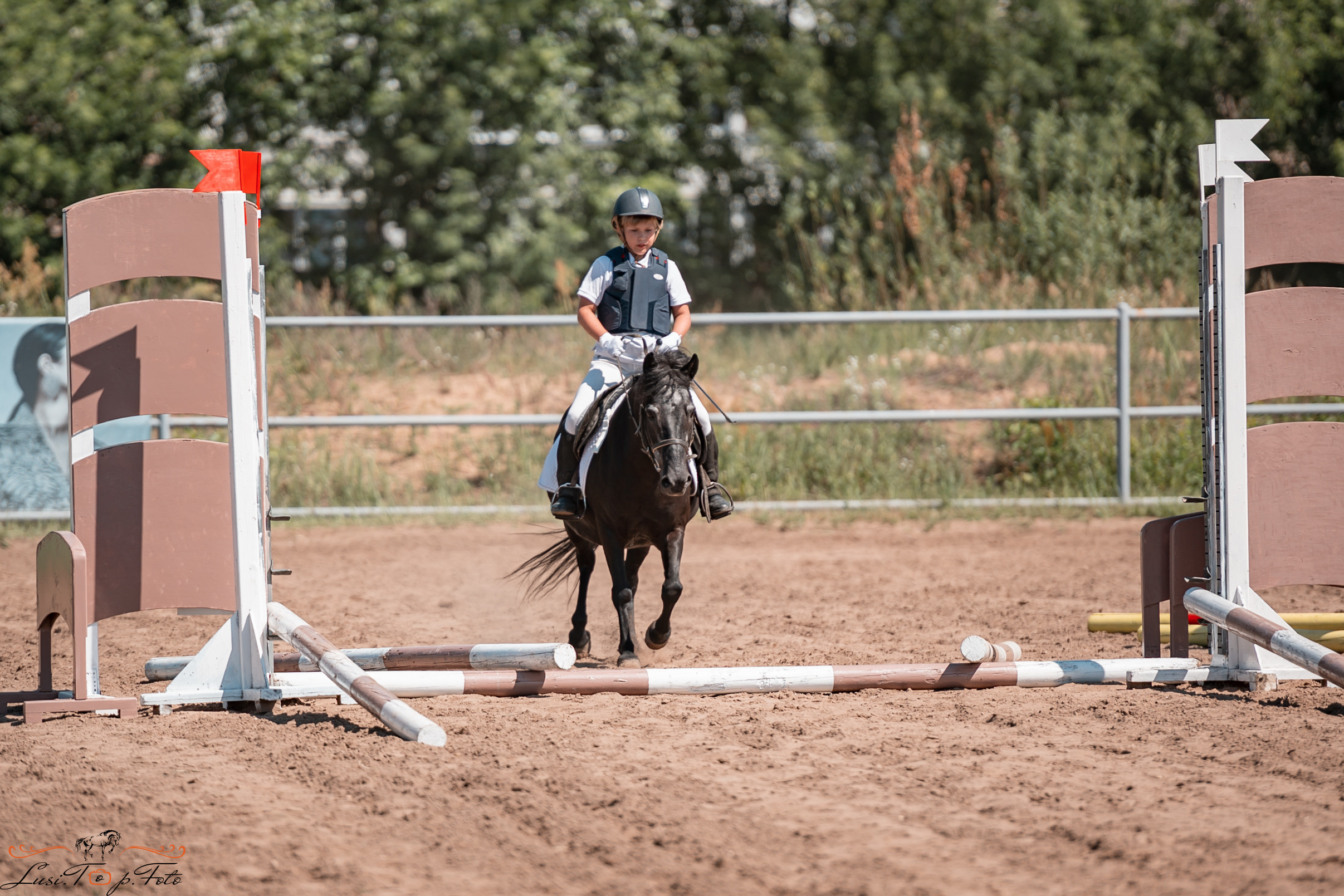 Первенство Тверской области по конкуру на Тверском ипподроме. Конный и фотограф с животными в Твери Топталова Люся