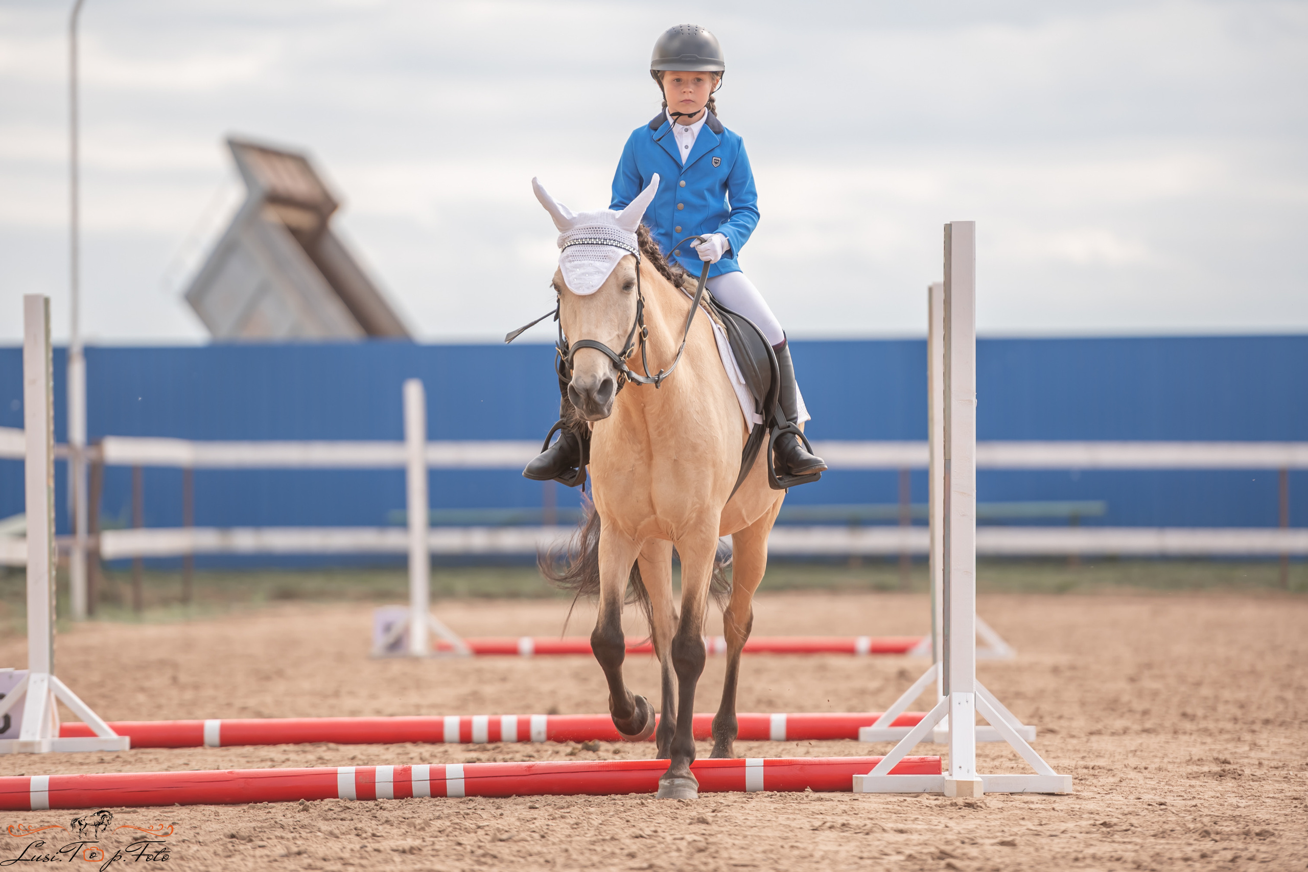 Открытая тренировка по выездке и конкуру в КК Резвая. Конный и фотограф с животными в Твери Топталова Люся