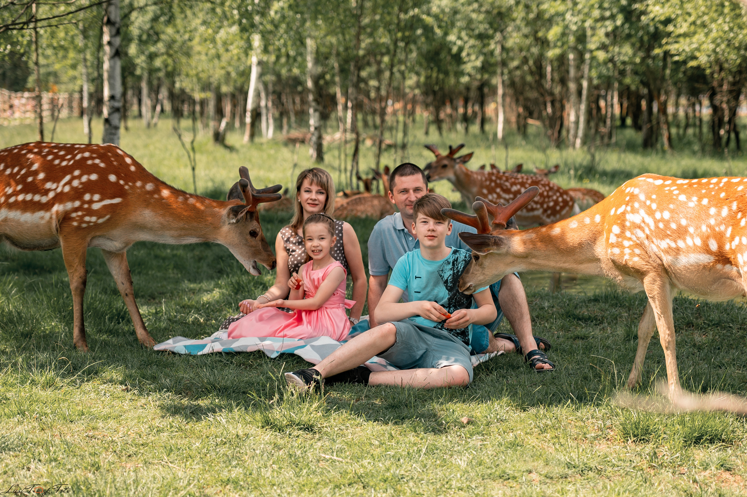 Оленья ферма. Конный и фотограф с животными в Твери Топталова Люся