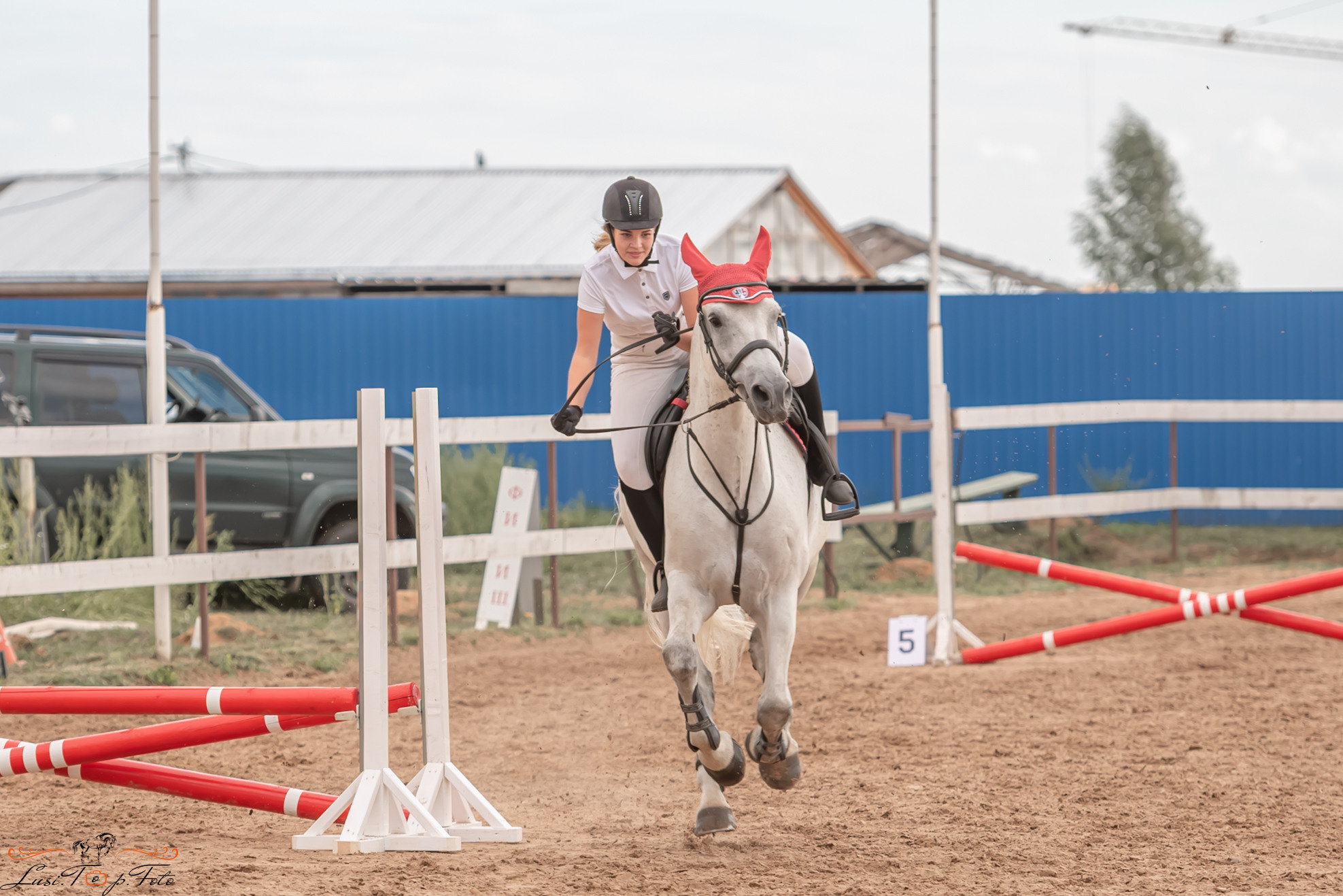 Открытая тренировка по выездке и конкуру в КК Резвая. Конный и фотограф с животными в Твери Топталова Люся